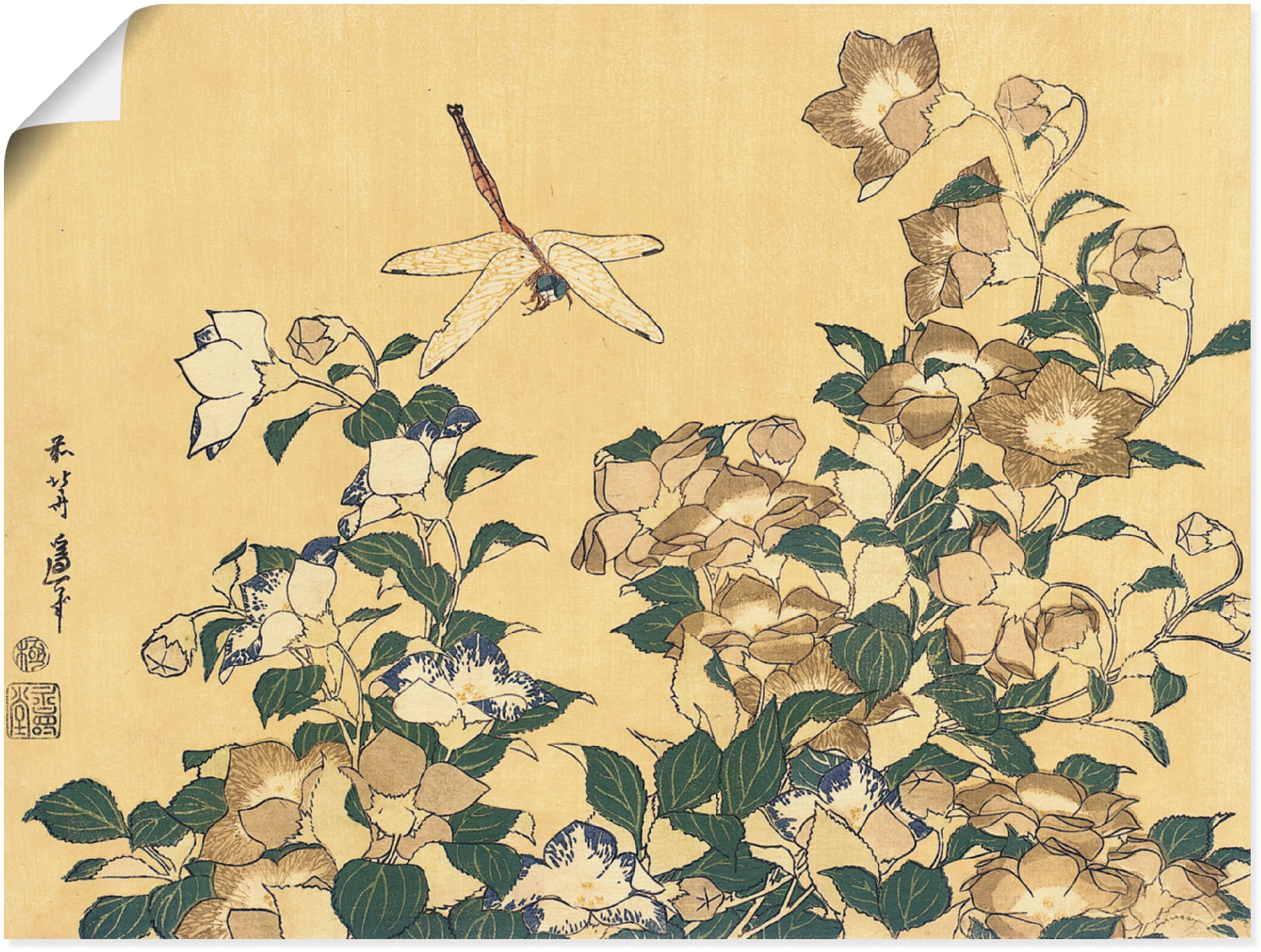 Artland Wandbild "Chinesische Glockenblume und Libelle", Blumen, (1 St.), a günstig online kaufen