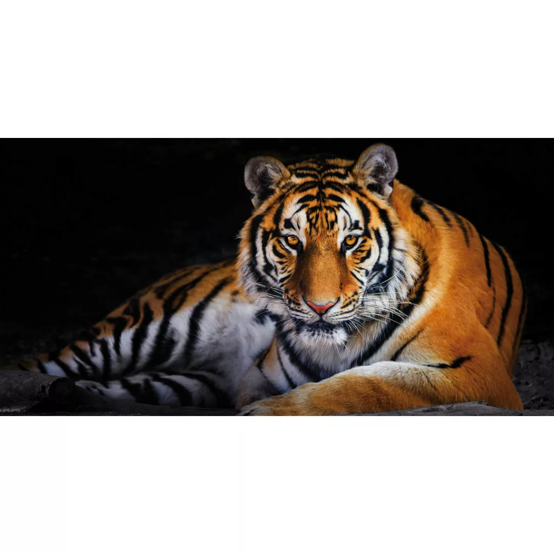 Bönninghoff Leinwandbild, Tiger, (1 St.), BxH: 100x50 cm günstig online kaufen