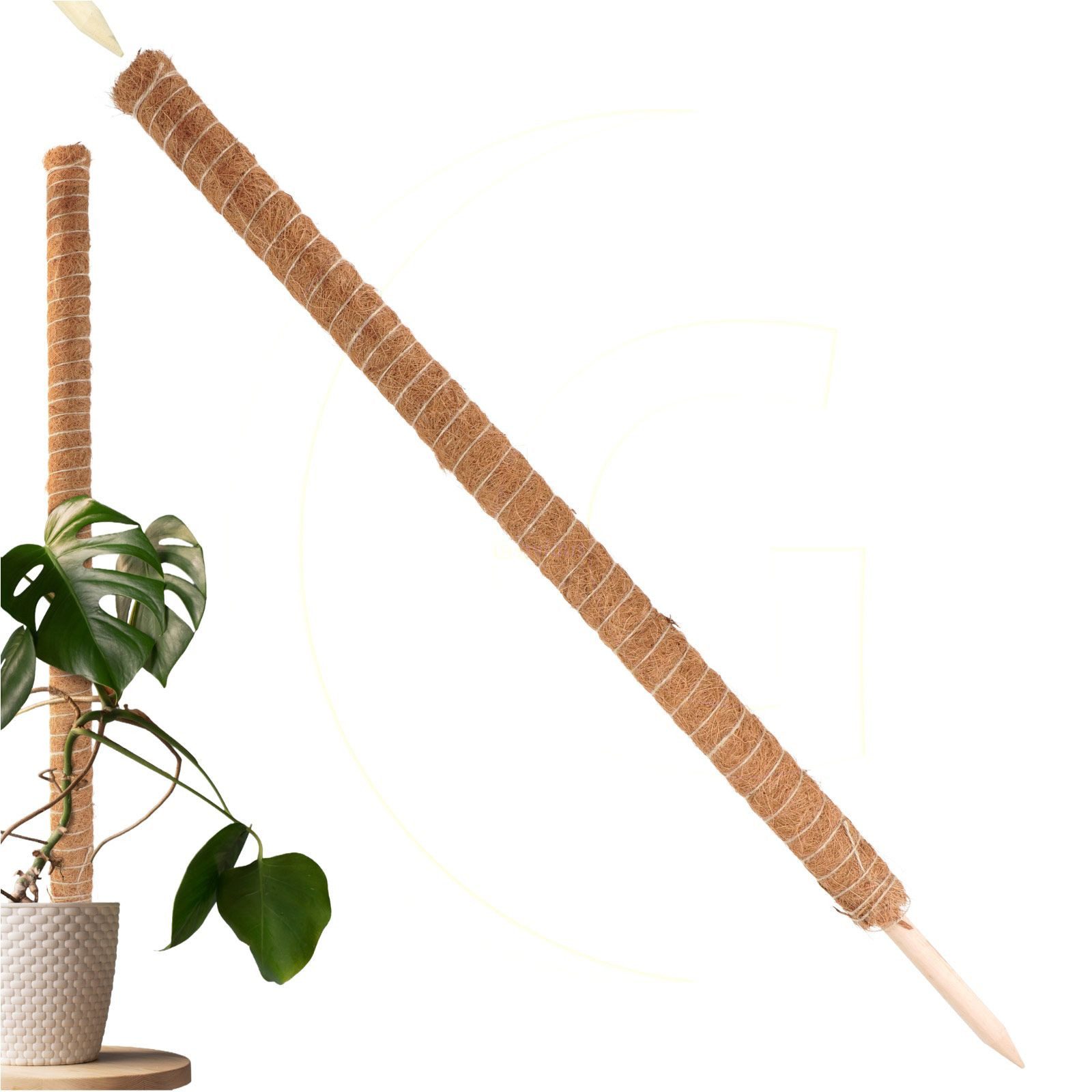 Gravidus Rankhilfe ​Erweiterbare Rankhilfe 110 cm günstig online kaufen
