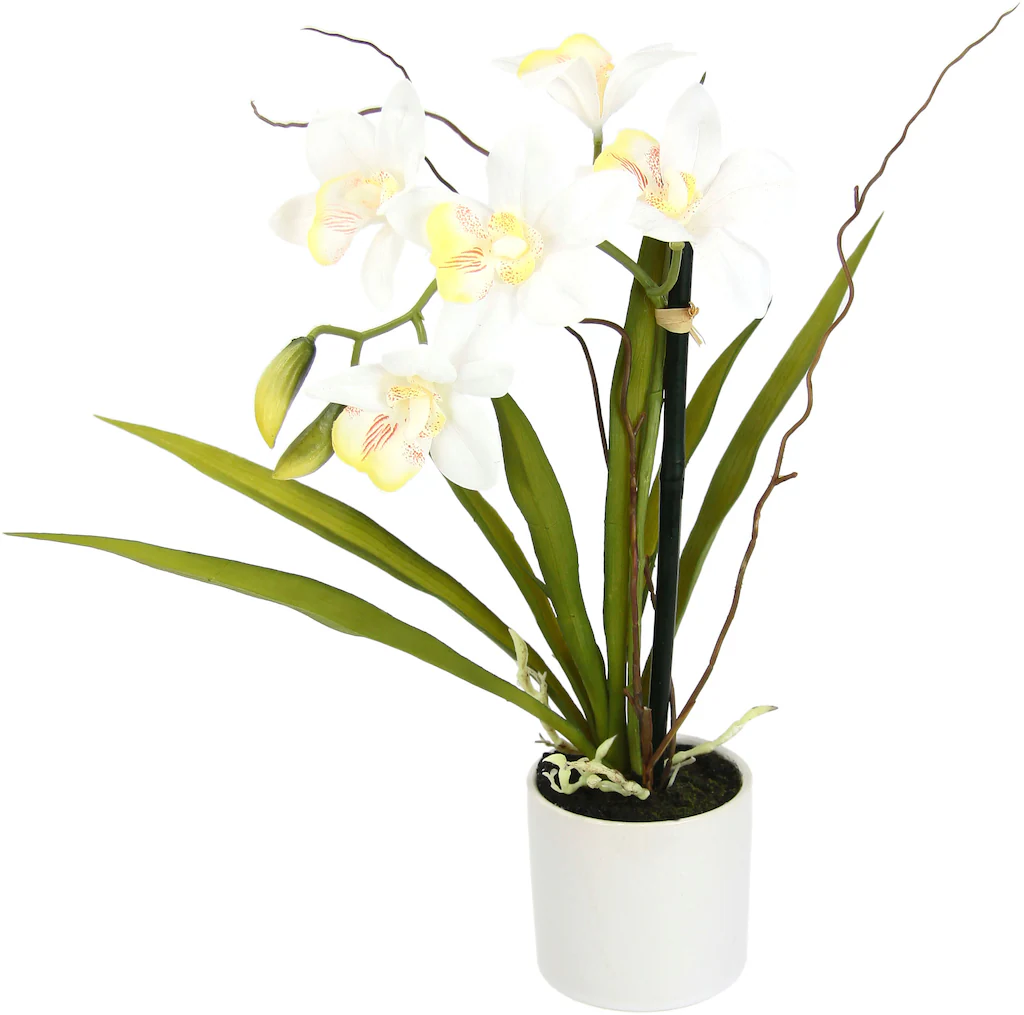 I.GE.A. Kunstorchidee "Orchidee", im Keramiktopf günstig online kaufen