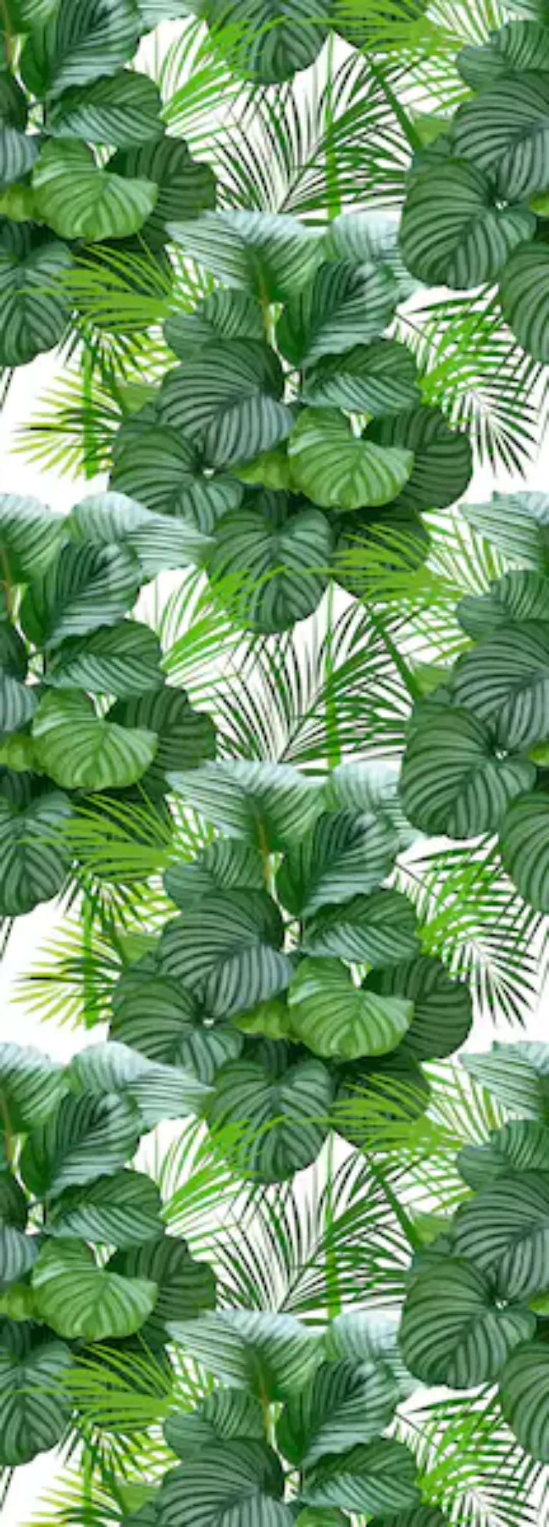 queence Vinyltapete »Tropische Blätter-Grün« günstig online kaufen