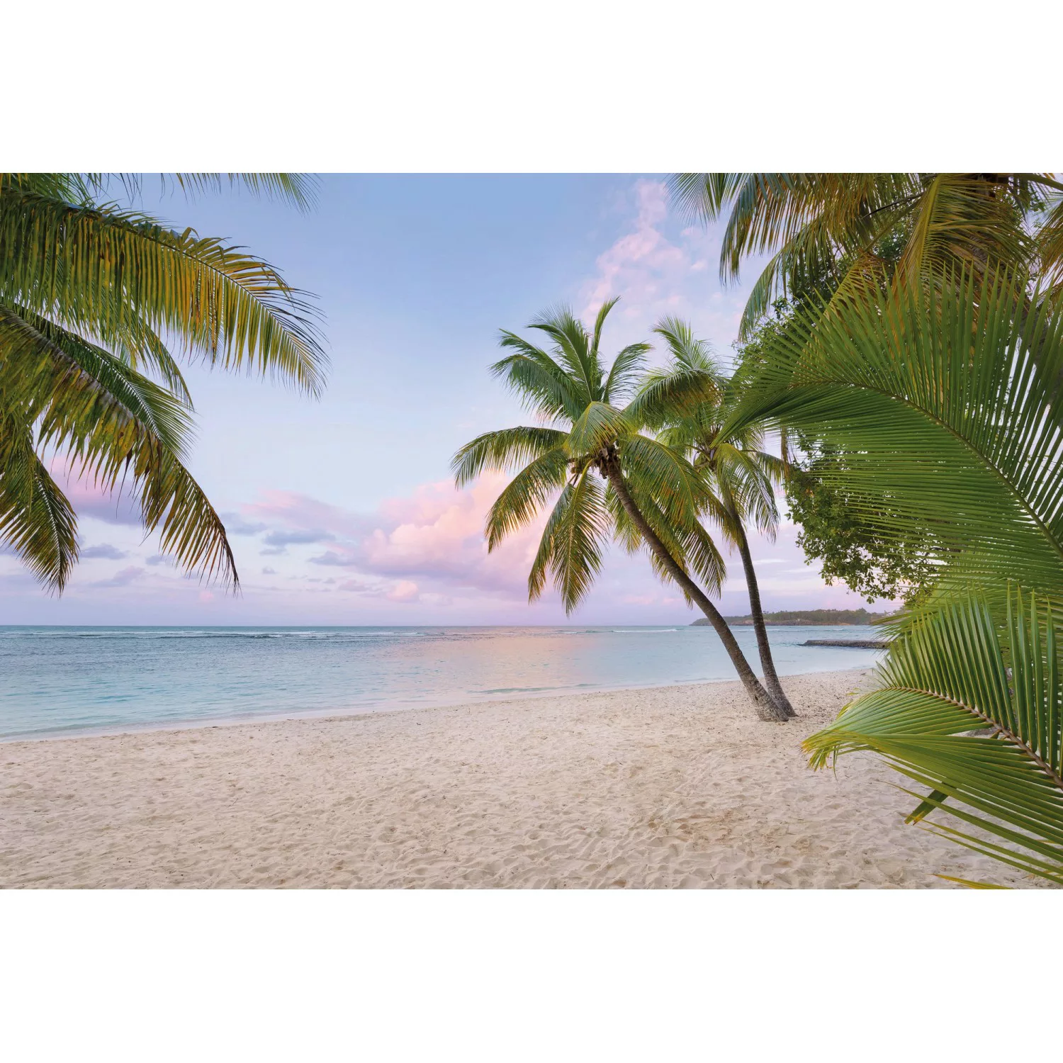 Komar Vliestapete »Paradise Morning«, 368x248 cm (Breite x Höhe), inklusive günstig online kaufen