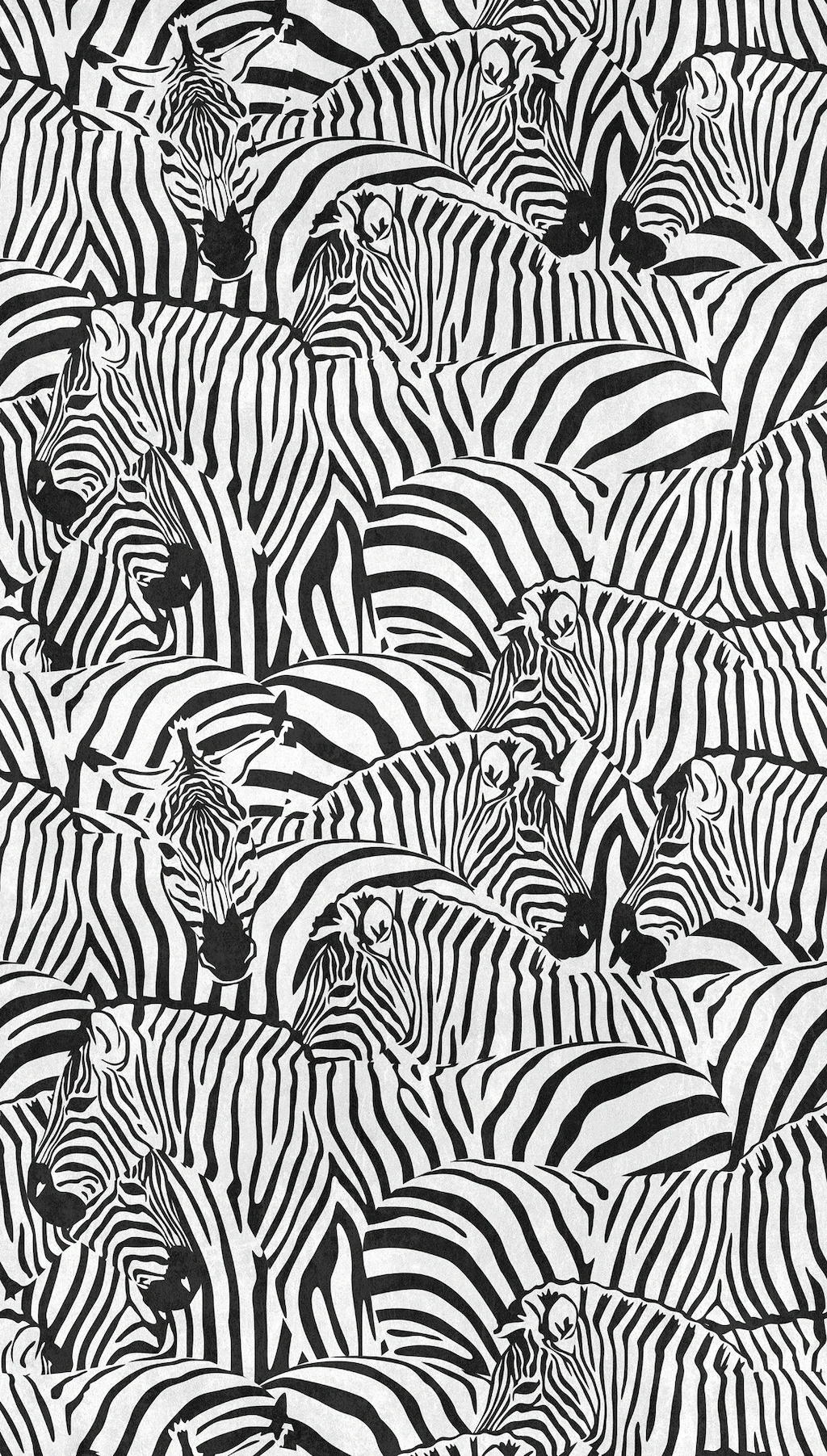 living walls Fototapete »THE WALL III Zebra Tapete Motivtapete Tiere Tiere« günstig online kaufen