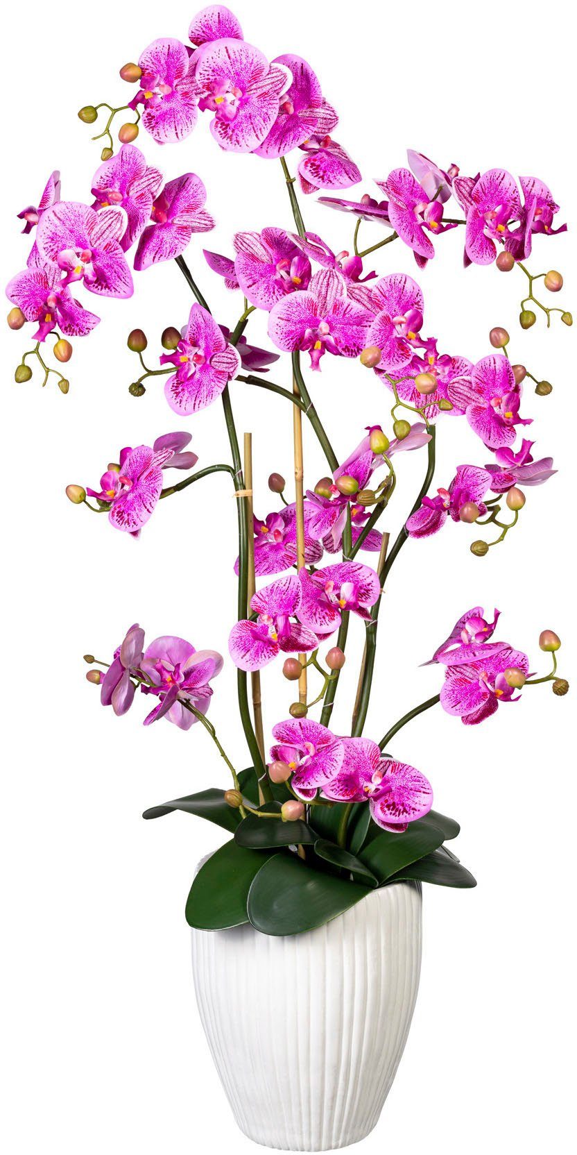 Kunstorchidee Deko-Orchidee Phalaenopsis XL im Keramiktopf günstig online kaufen