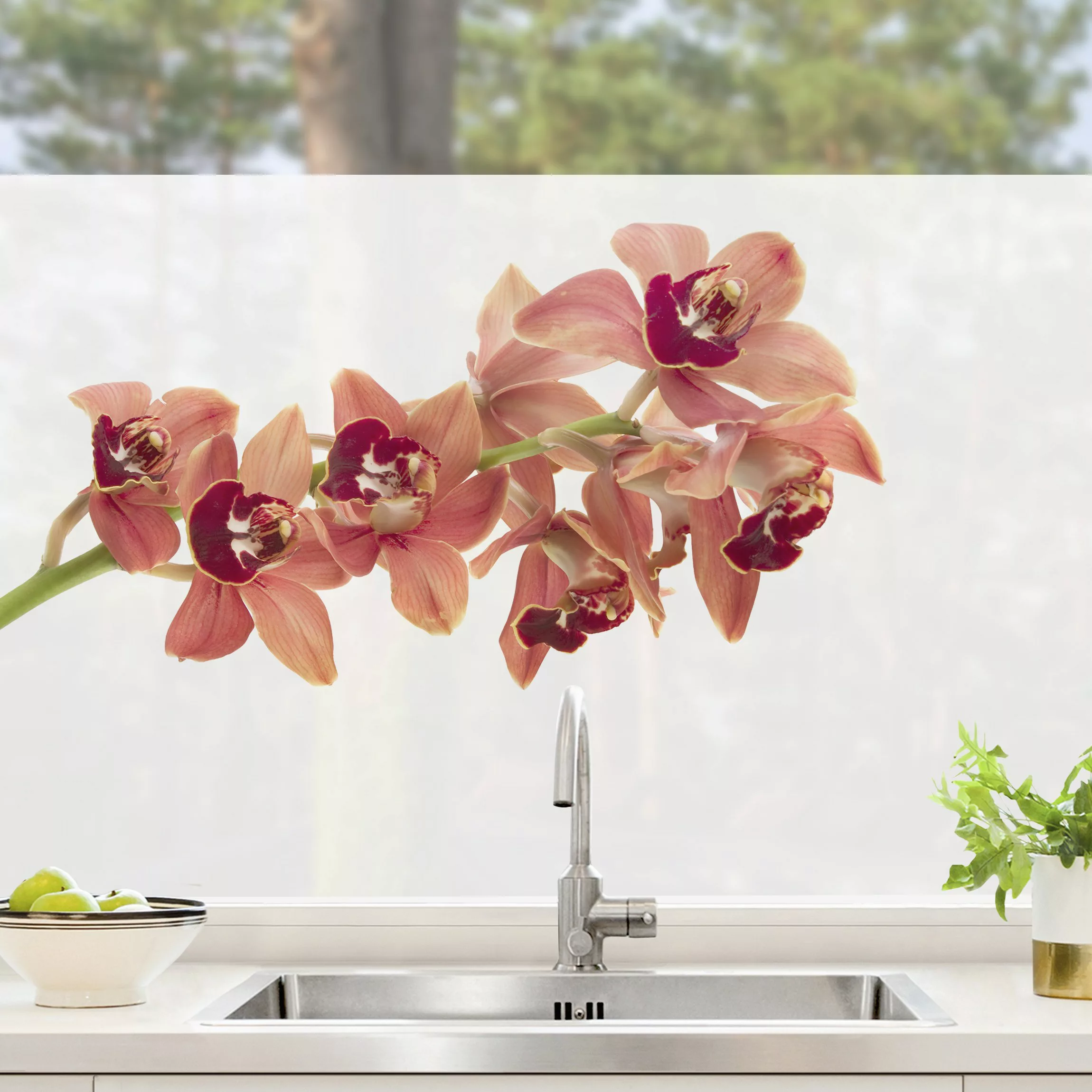 Fensterfolie No.180 Orchidee Rot II günstig online kaufen