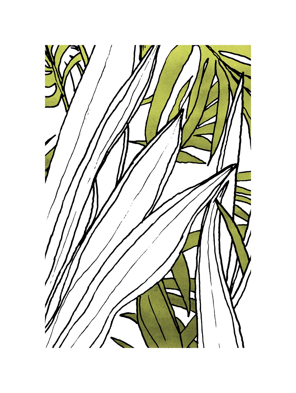 Komar Bild "Bleached Leaves", Natur, (1 St.), Wandbild zur Dekoration - ohn günstig online kaufen