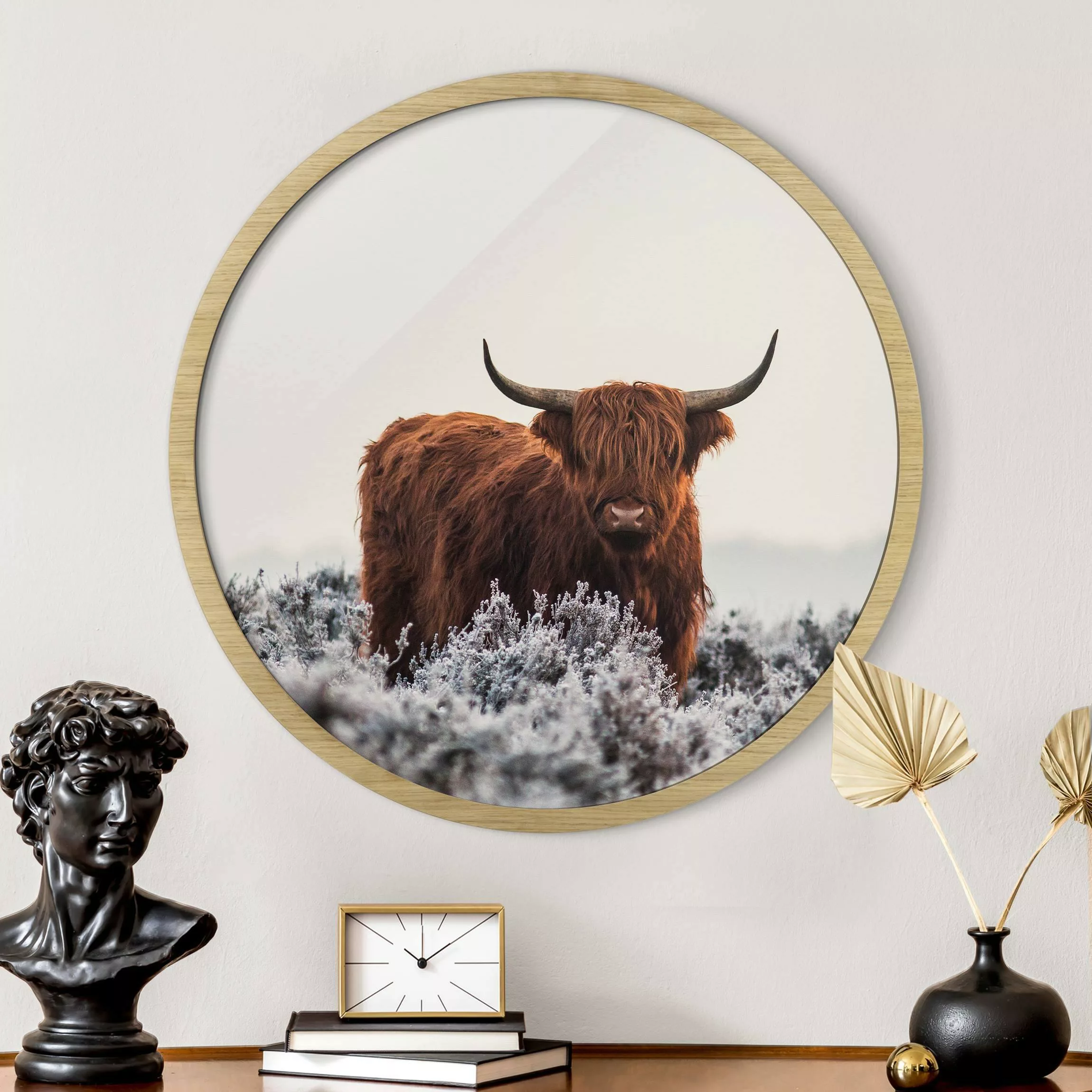 Rundes Gerahmtes Bild Bison in den Highlands günstig online kaufen