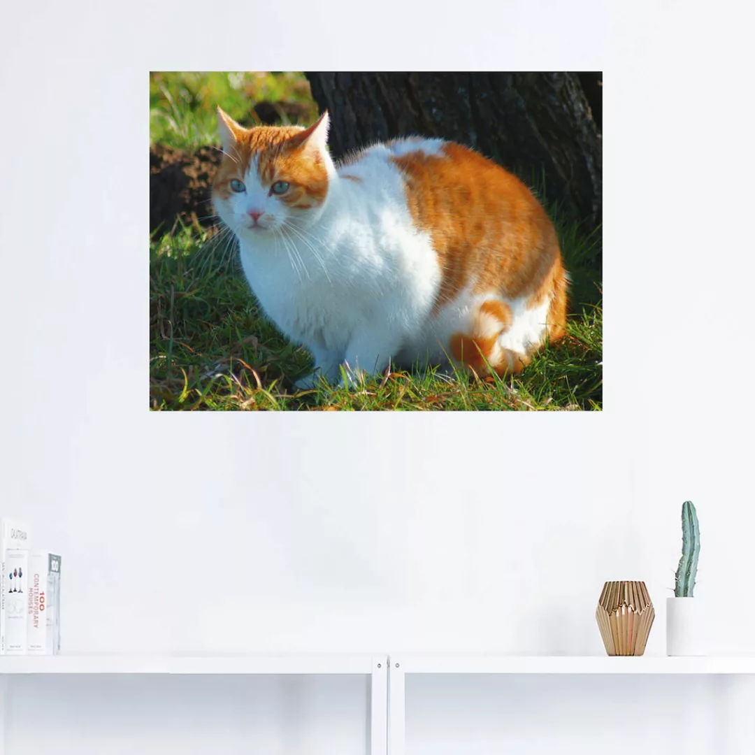 Artland Wandfolie "Entspannte Katze", Haustiere, (1 St.) günstig online kaufen