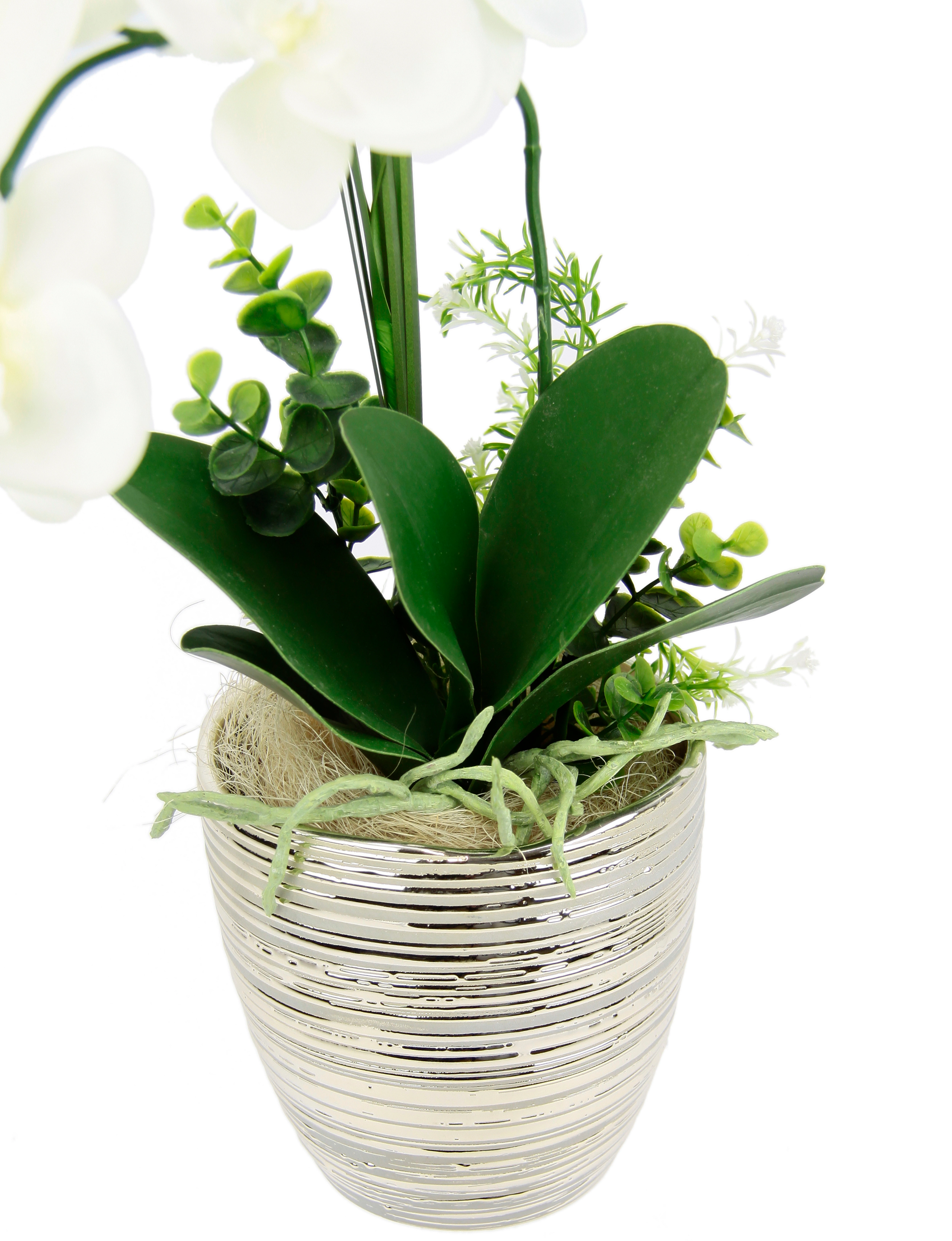 I.GE.A. Kunstblume "Arrangement Orchidee/Gras", Topf aus Keramik günstig online kaufen