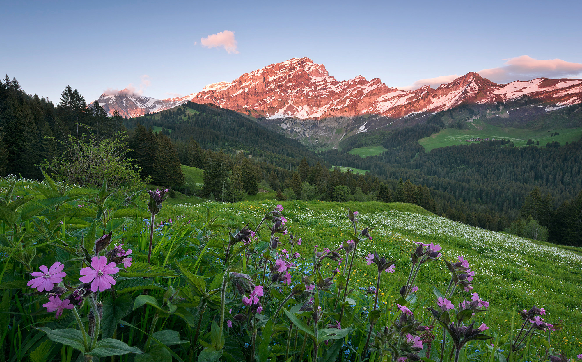 Komar Fototapete Picturesque Switzerland B/L: ca. 450x280 cm günstig online kaufen