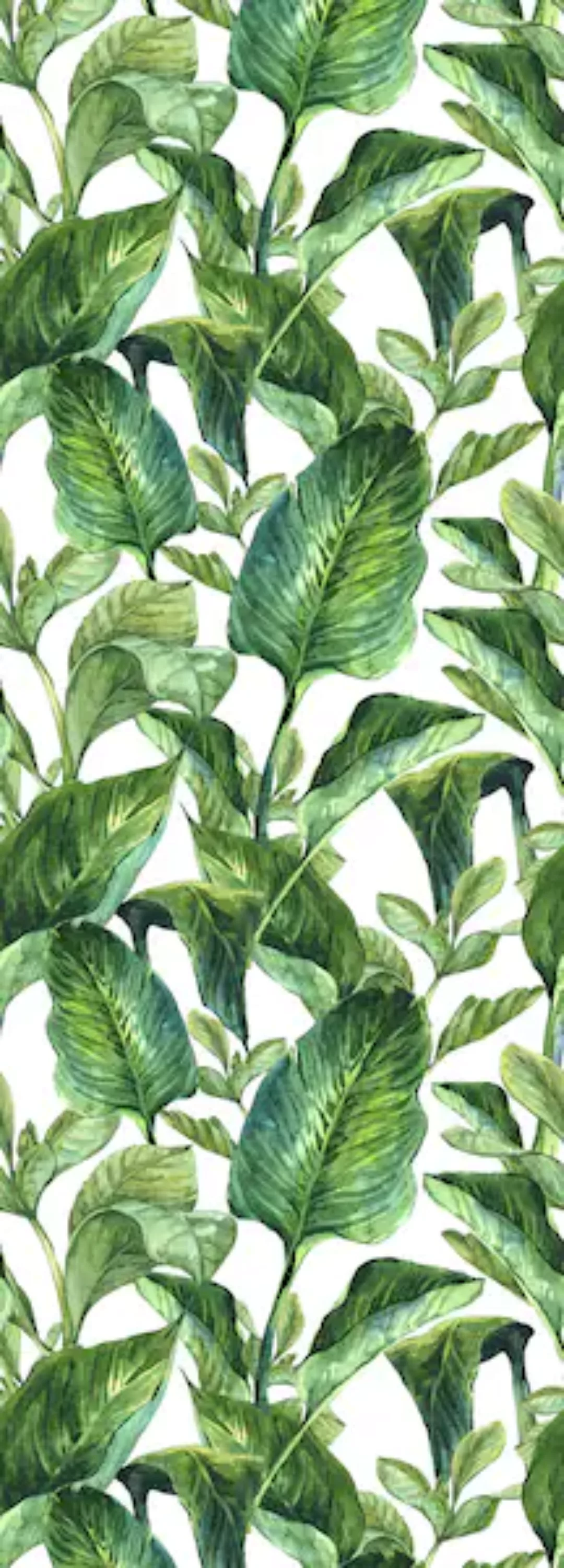 queence Vinyltapete »Green Leaves«, 90 x 250 cm, selbstklebend günstig online kaufen
