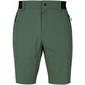 Witeblaze  Shorts Sport  Phoenix 1  6004 - olive XXL 1123612-6004 günstig online kaufen