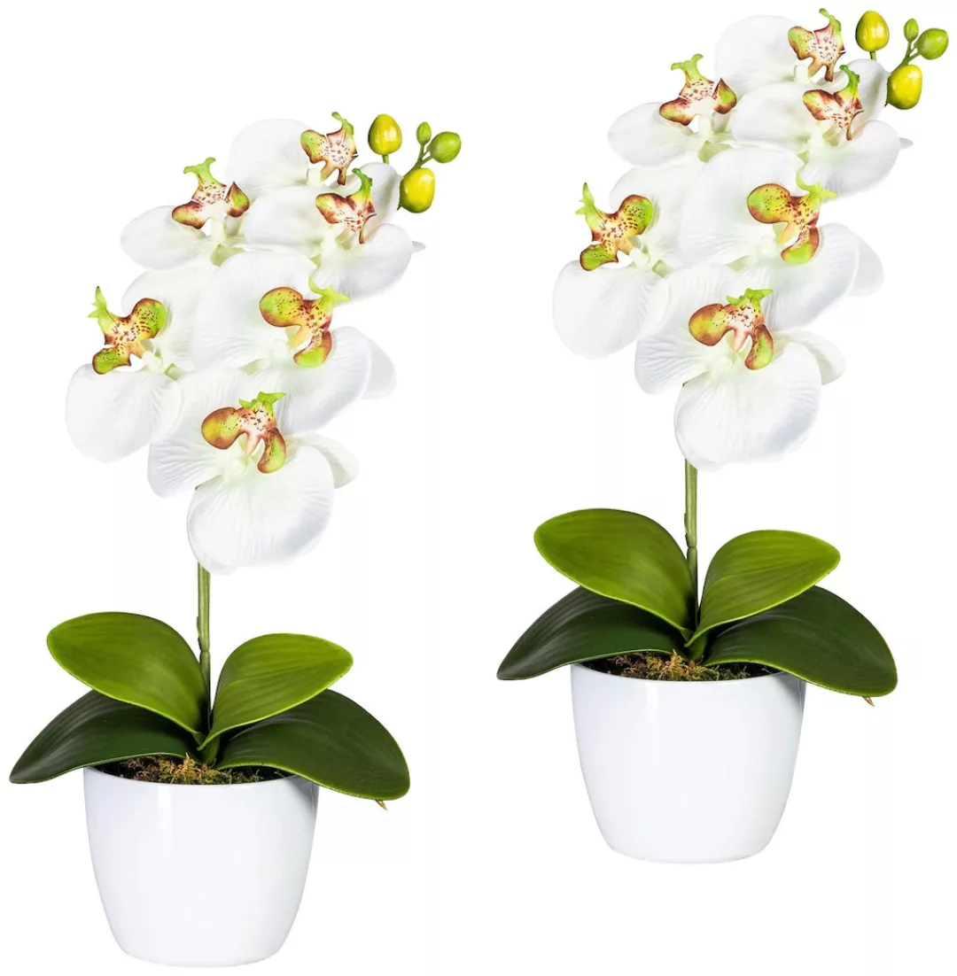 Creativ green Kunstpflanze "Orchidee Phalaenopsis", im Keramiktopf günstig online kaufen