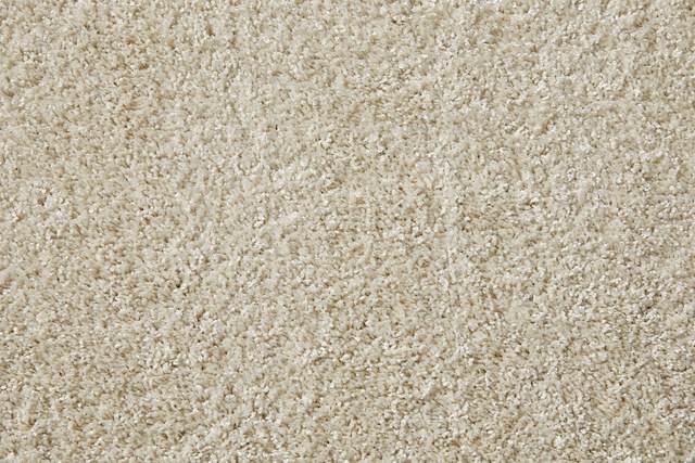 Andiamo Teppichboden »Portland, Velours, Made in Netherlands«, rechteckig, günstig online kaufen