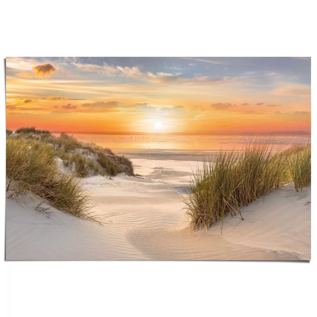 Reinders Poster "Beautiful Dunes" günstig online kaufen