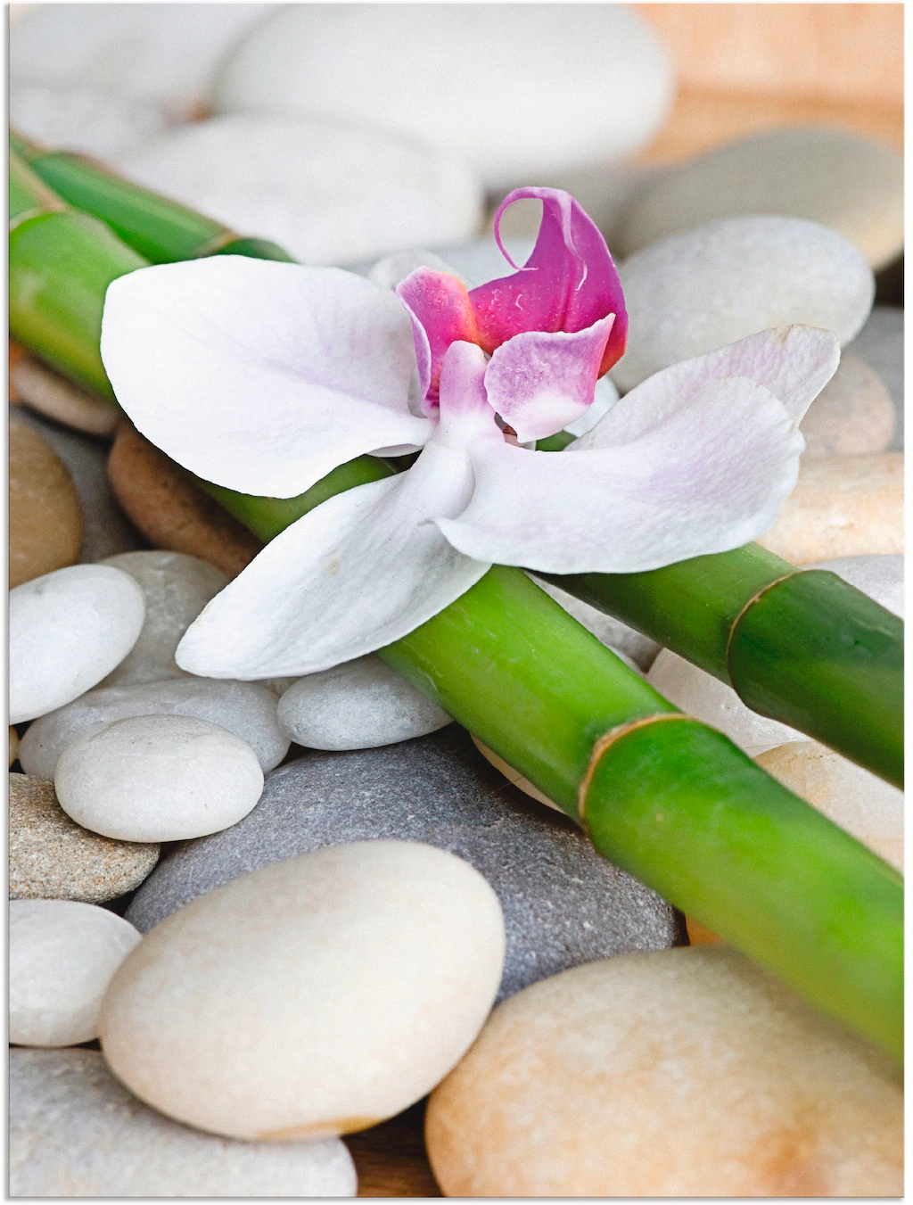 Artland Wandbild "Zen Orchidee", Zen, (1 St.), als Alubild, Outdoorbild, Le günstig online kaufen