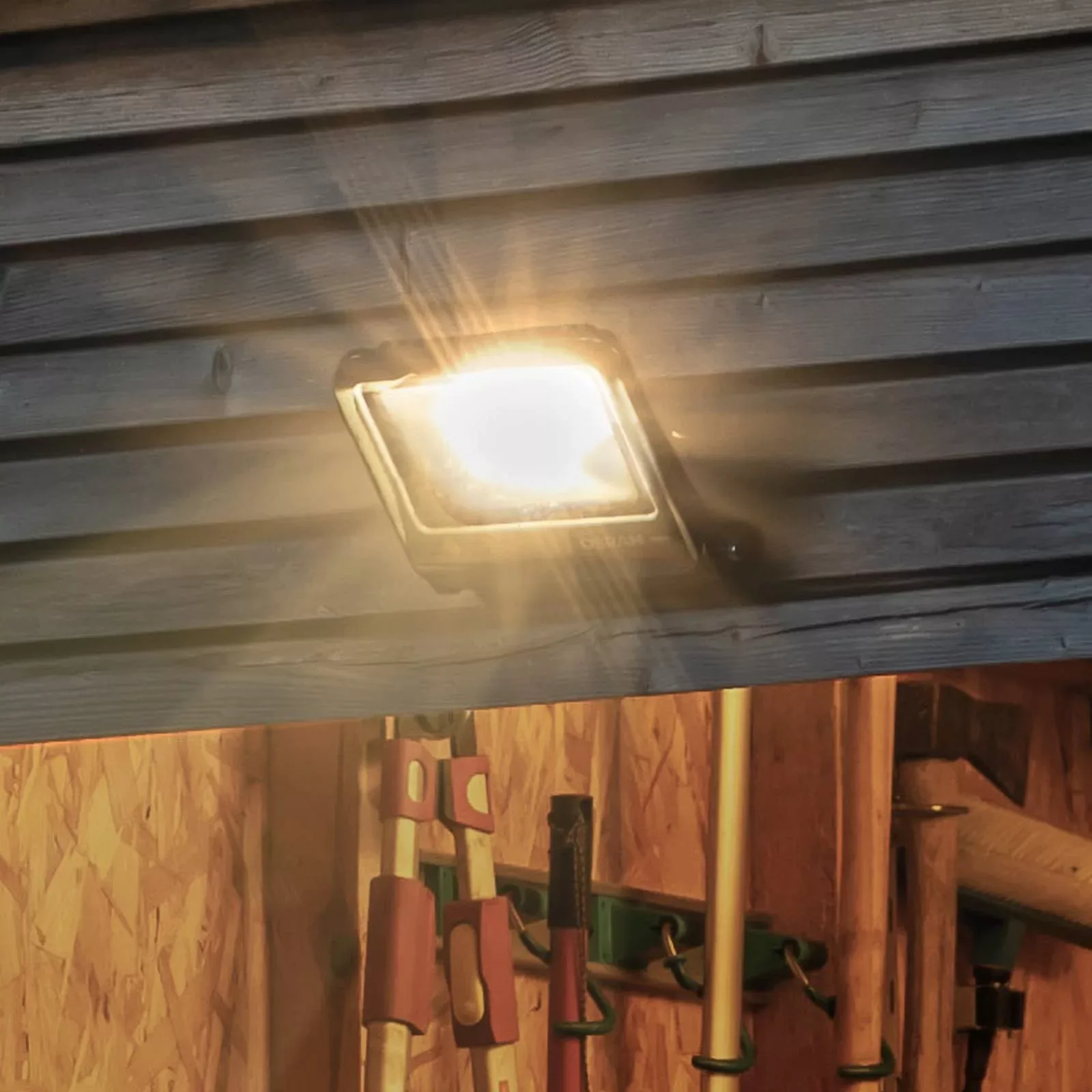 LEDVANCE Endura Floodlight LED-Außenstrahler 50W günstig online kaufen