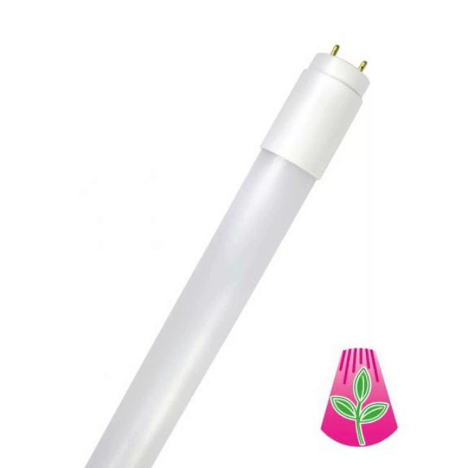 LED-Röhre GoLeaf T8 G13 Vollspektrum 16W 120cm günstig online kaufen