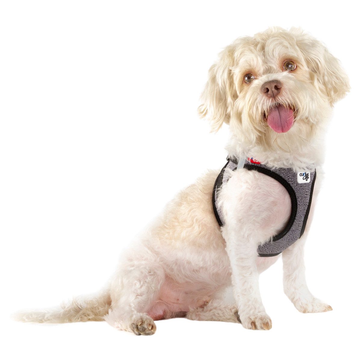 Curli Hunde-Geschirr Clasp Vest Geschirr Merino günstig online kaufen