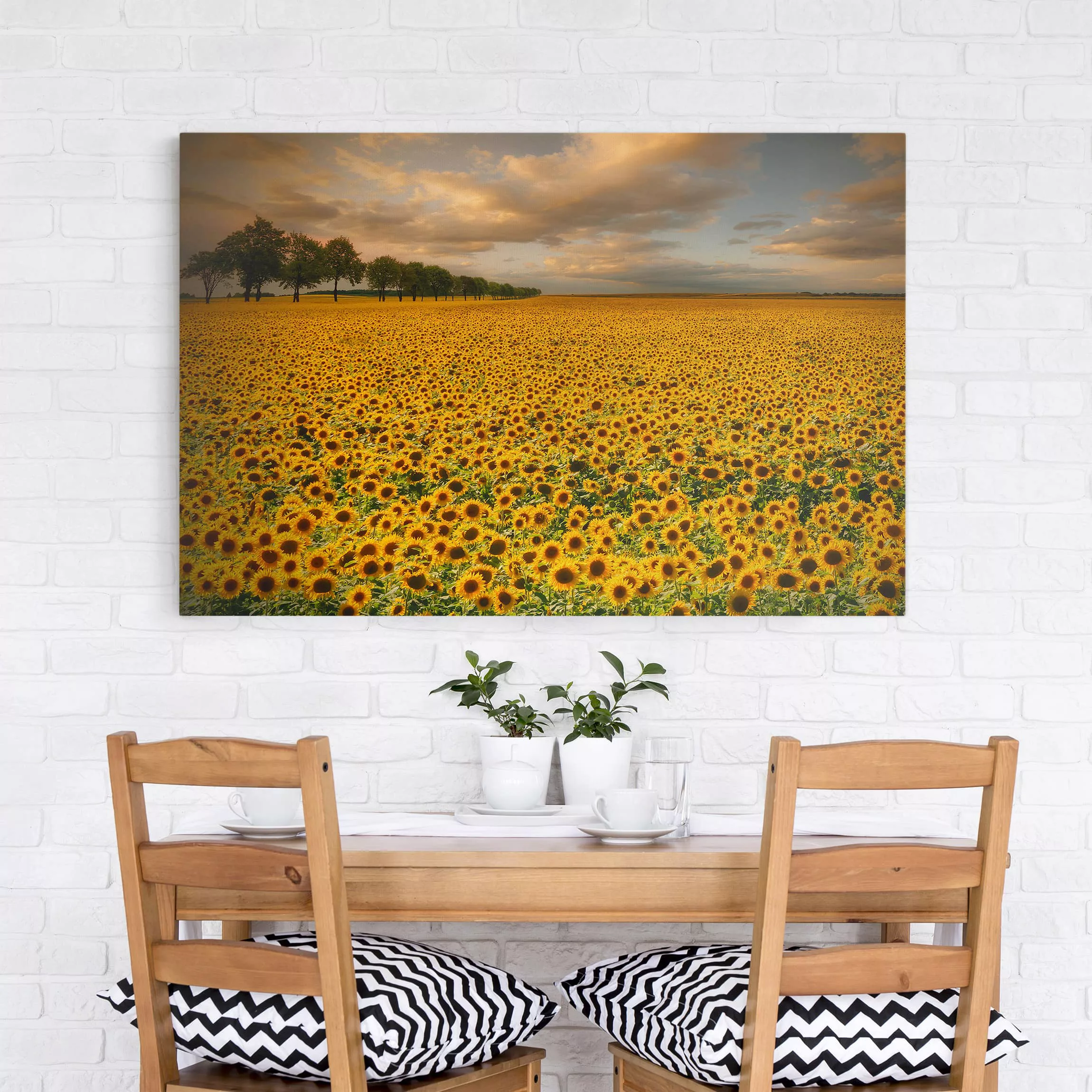 Leinwandbild Blumen - Querformat Feld mit Sonnenblumen günstig online kaufen