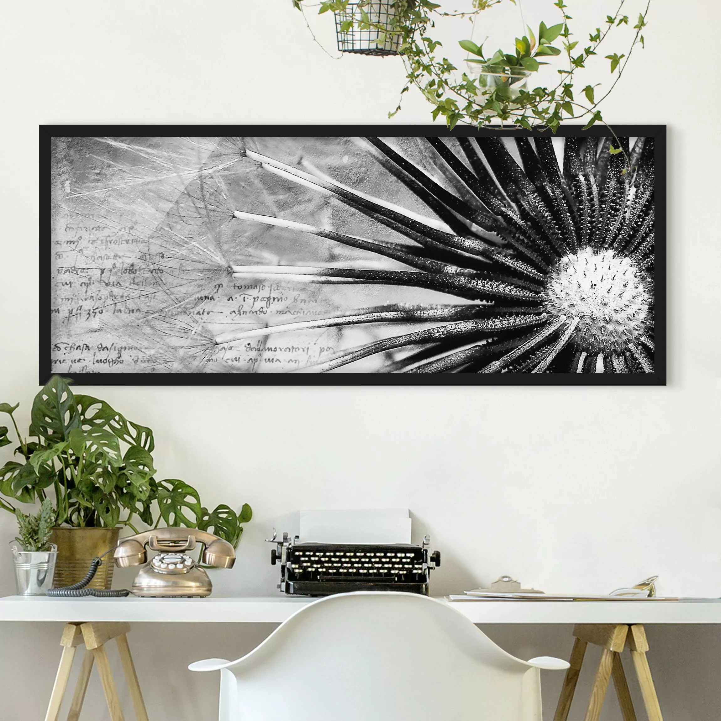 Bild mit Rahmen Blumen - Panorama Pusteblume Schwarz & Weiß günstig online kaufen