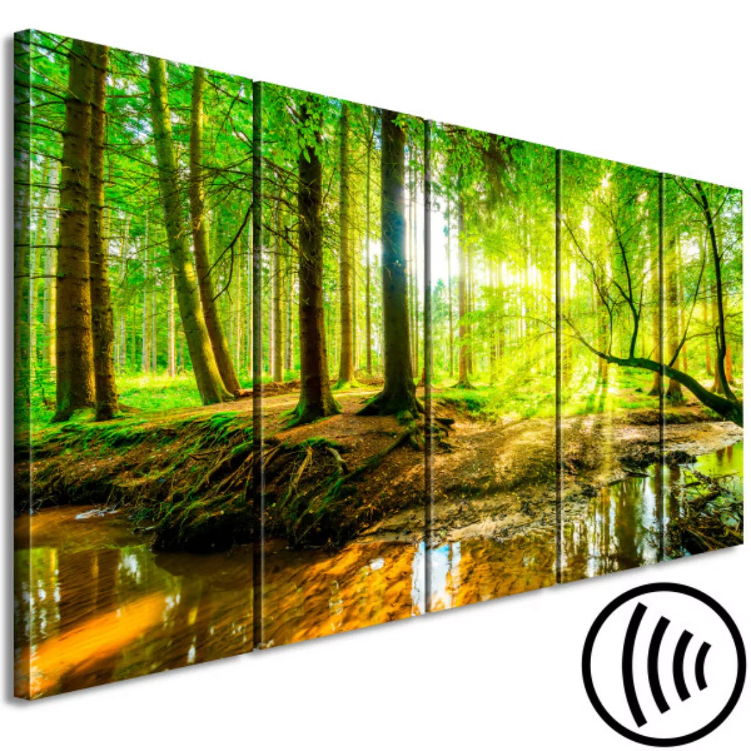 Bild auf Leinwand Forest Stream (5 Parts) Narrow XXL günstig online kaufen