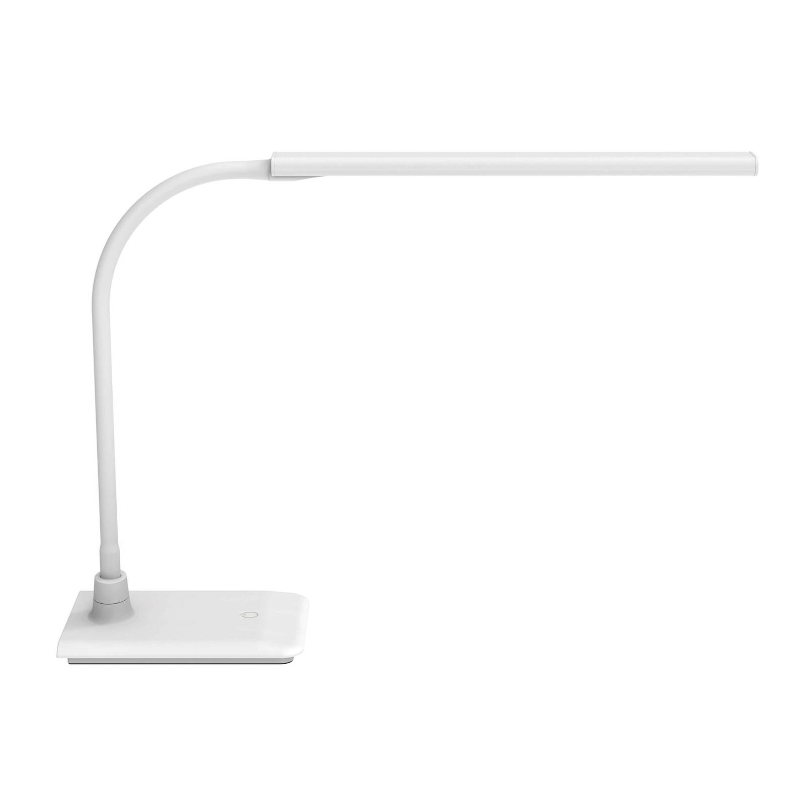LED-Tischleuchte MAULpirro, weiß, dimmbar günstig online kaufen