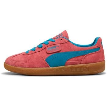 Puma  Sneaker - günstig online kaufen