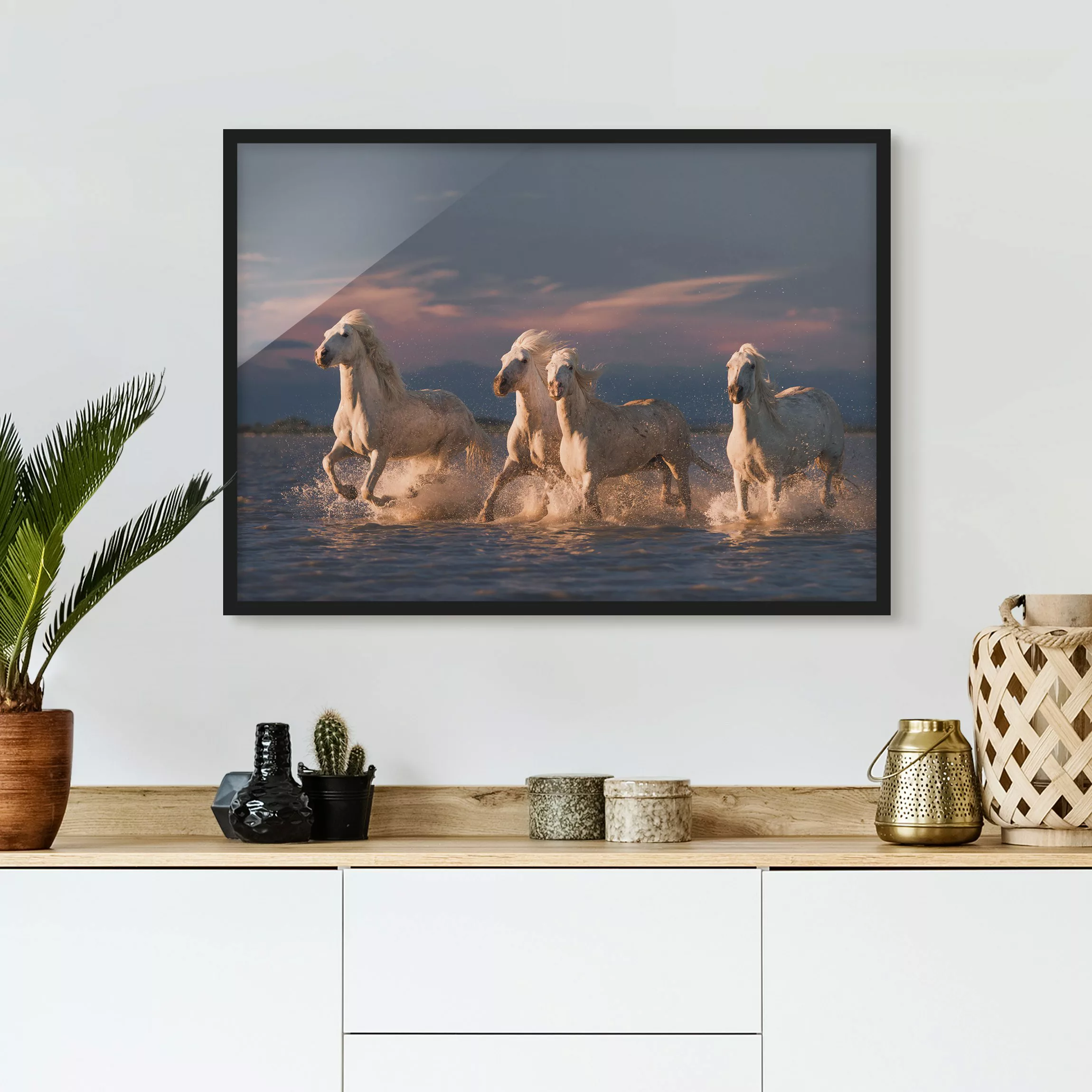 Bild mit Rahmen Tiere - Querformat Wilde Pferde in Kamargue günstig online kaufen