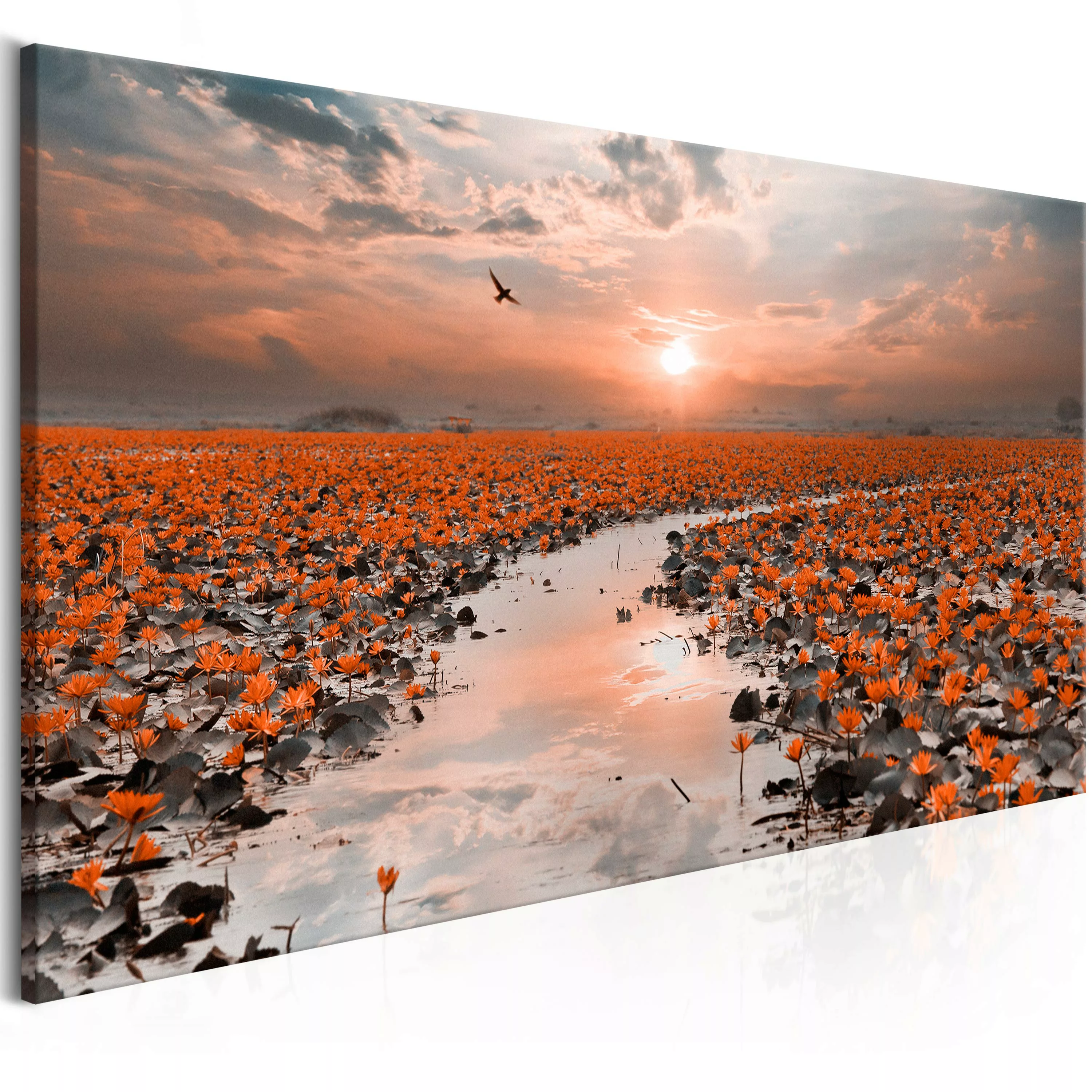 Wandbild - Lily Pathway (1 Part) Narrow günstig online kaufen