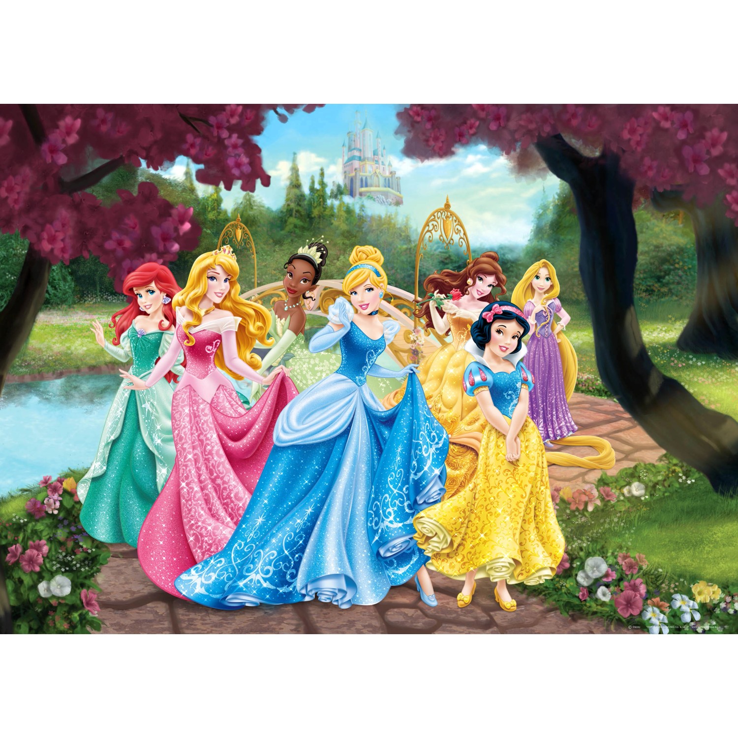 Disney Poster Prinzessinnen Rosa Gelb und Blau 160 x 110 cm 600655 günstig online kaufen