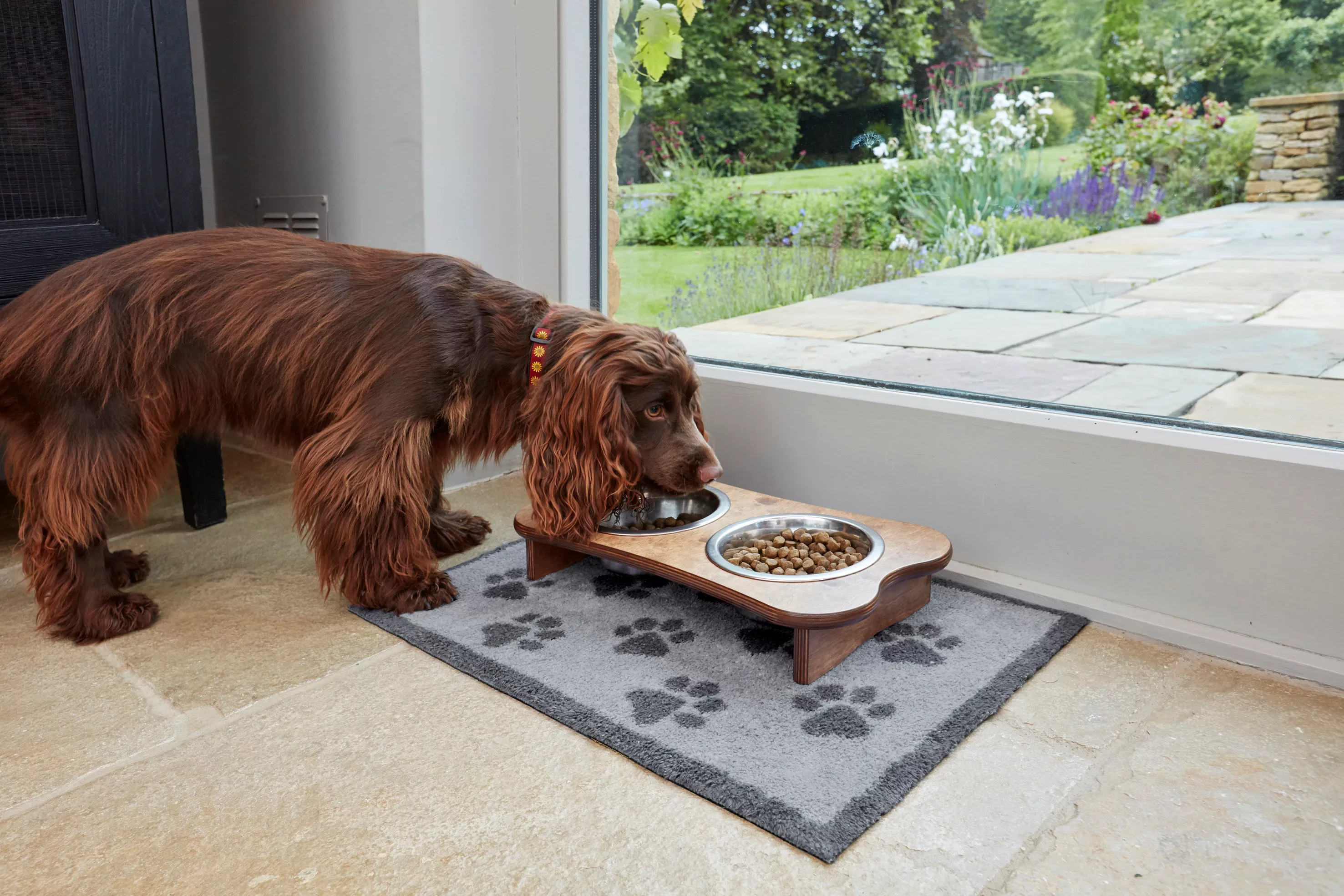 Turtle Mat Fußmatte »Paws Grey«, rechteckig, 9 mm Höhe günstig online kaufen