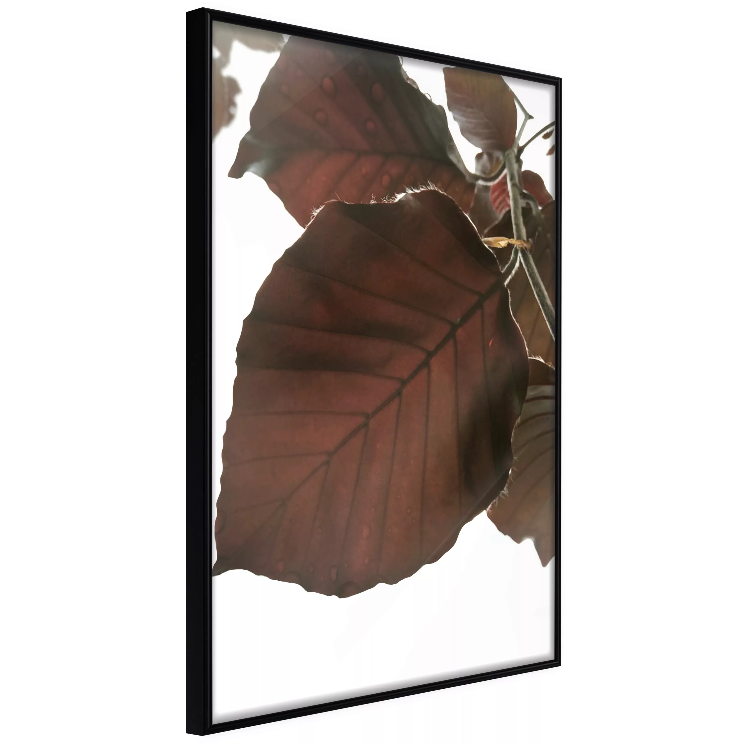 Poster - Burgundy Tilia Leaf günstig online kaufen