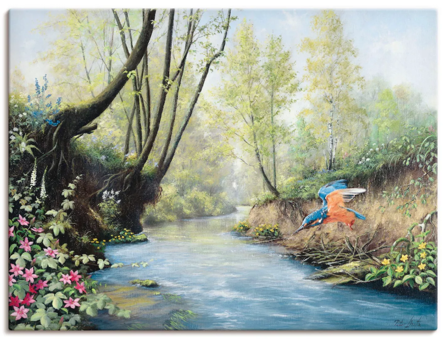 Artland Wandbild "Eisvogel III", Gewässer, (1 St.) günstig online kaufen