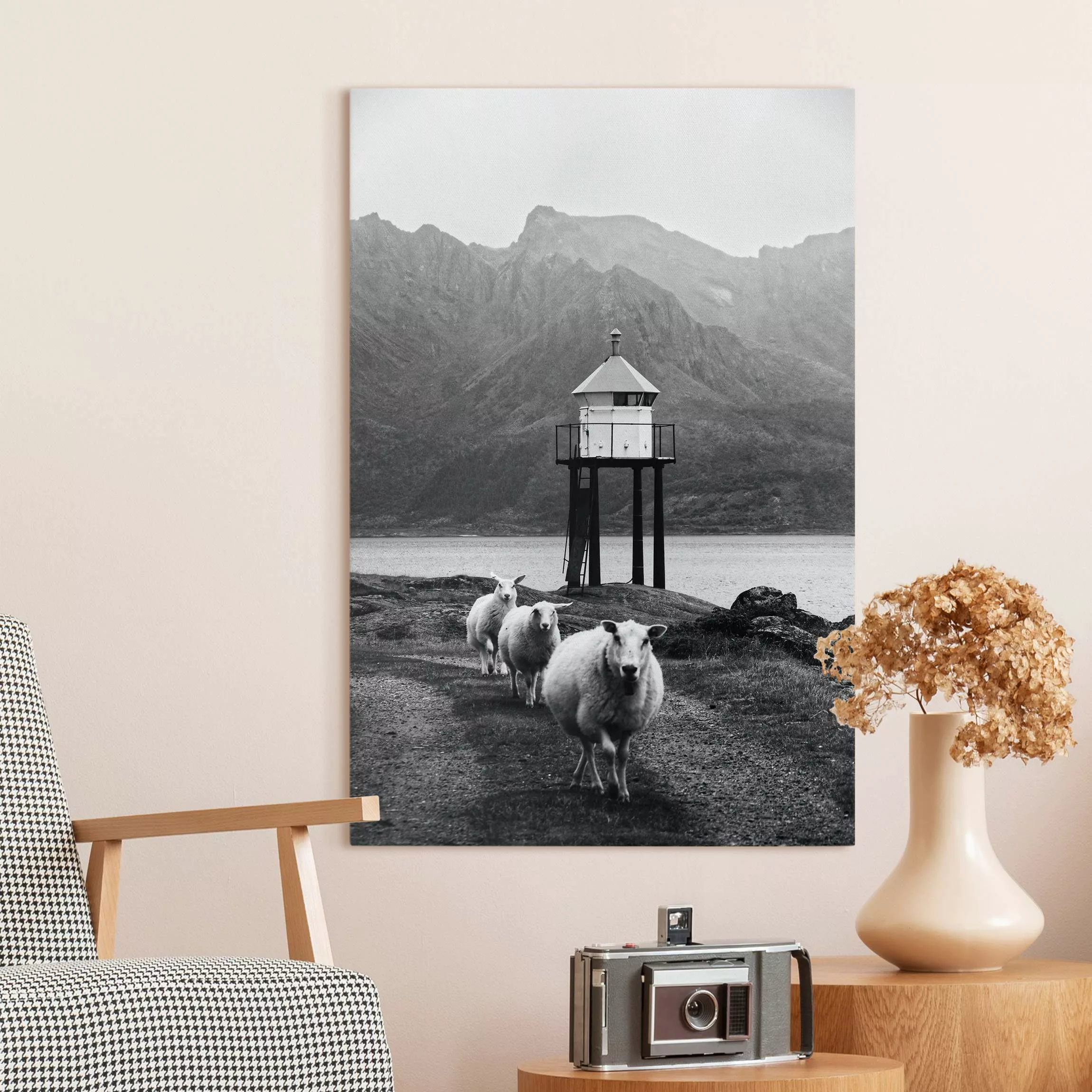 Leinwandbild Drei Schafe auf den Lofoten günstig online kaufen