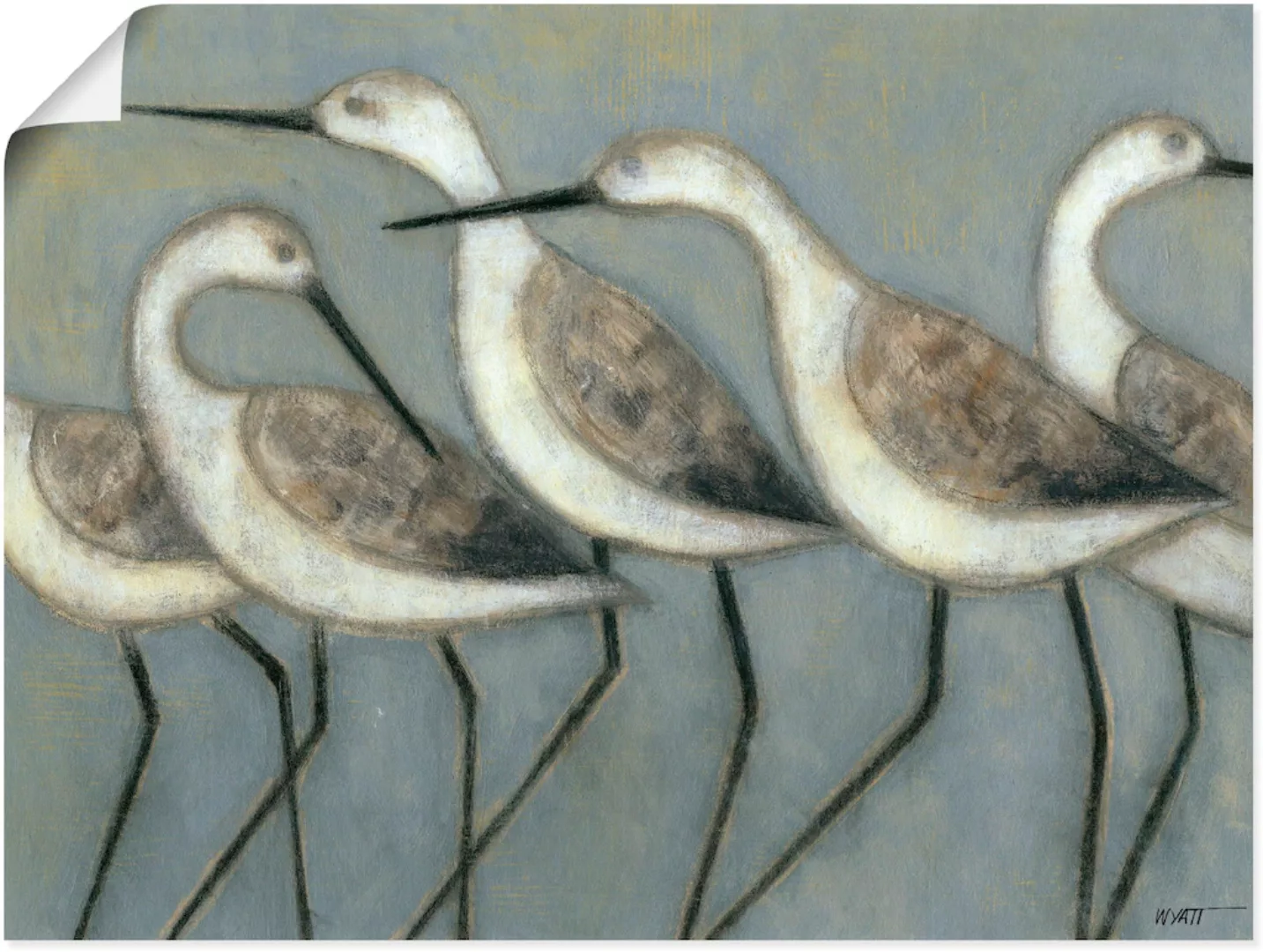 Artland Wandbild "Küstenvögel I", Vögel, (1 St.) günstig online kaufen