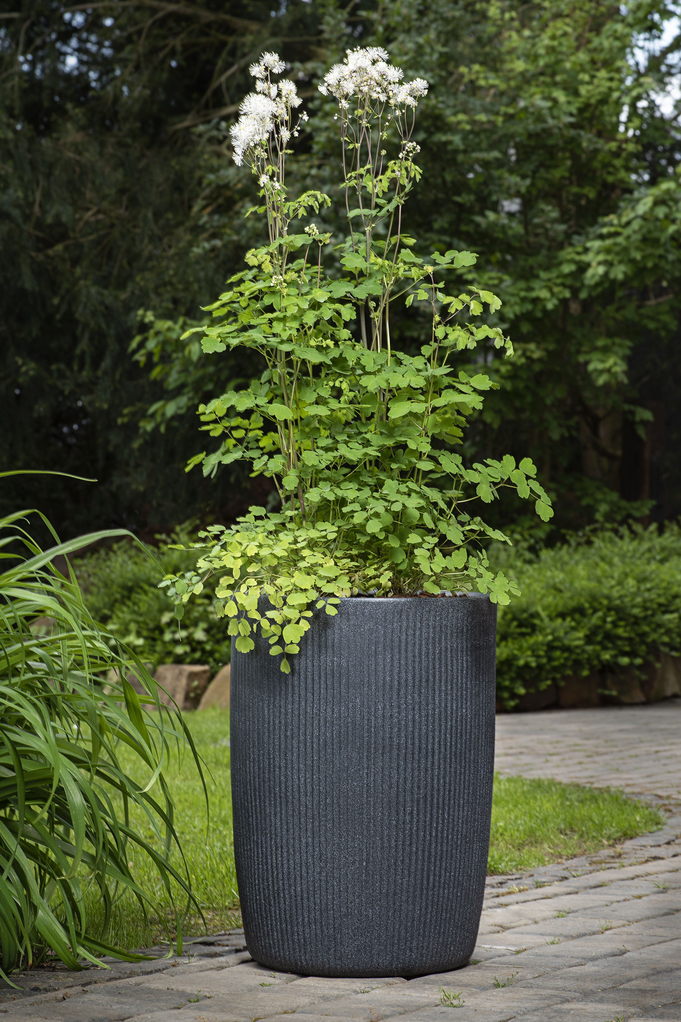 Scheurich Pflanzsäule Linetto High Ø 38 cm x 54 cm Stony Black günstig online kaufen