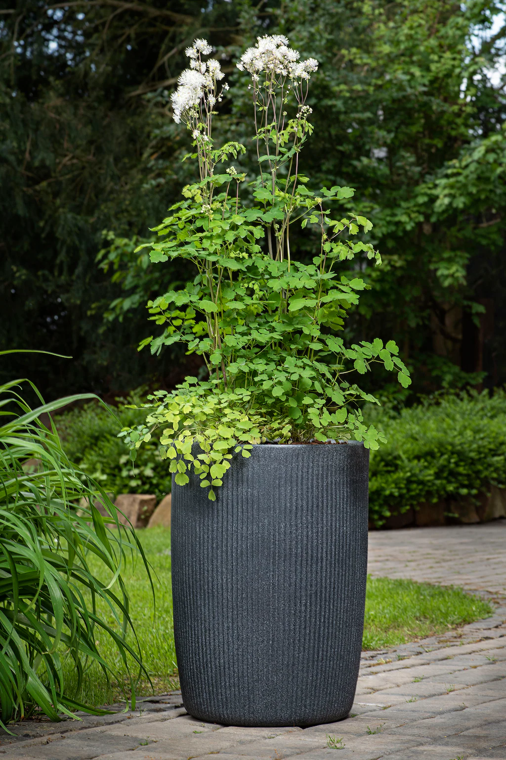 Scheurich Pflanzsäule Linetto High Ø 38 cm x 54 cm Stony Black günstig online kaufen