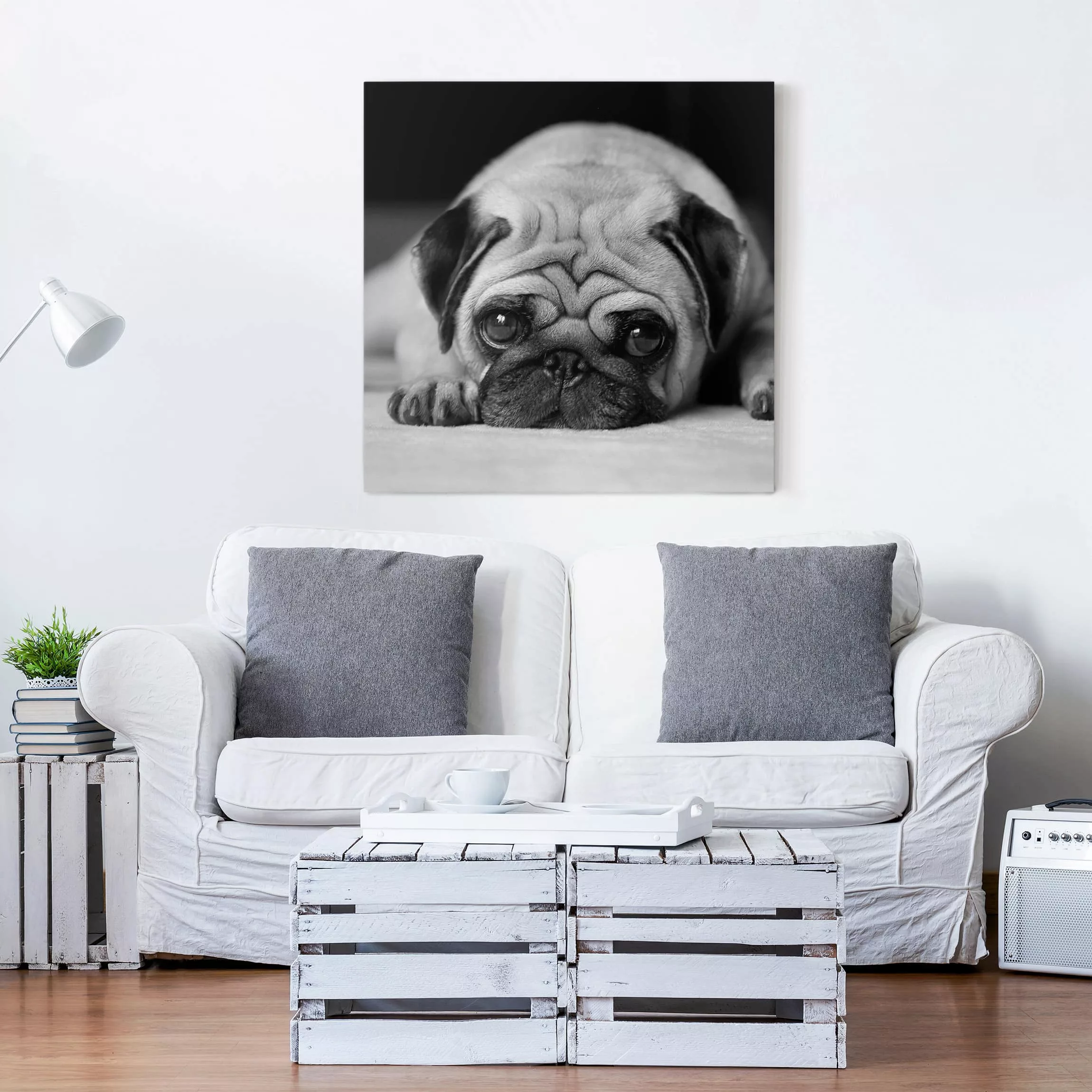 Leinwandbild Tiere - Quadrat Pug Loves You II günstig online kaufen