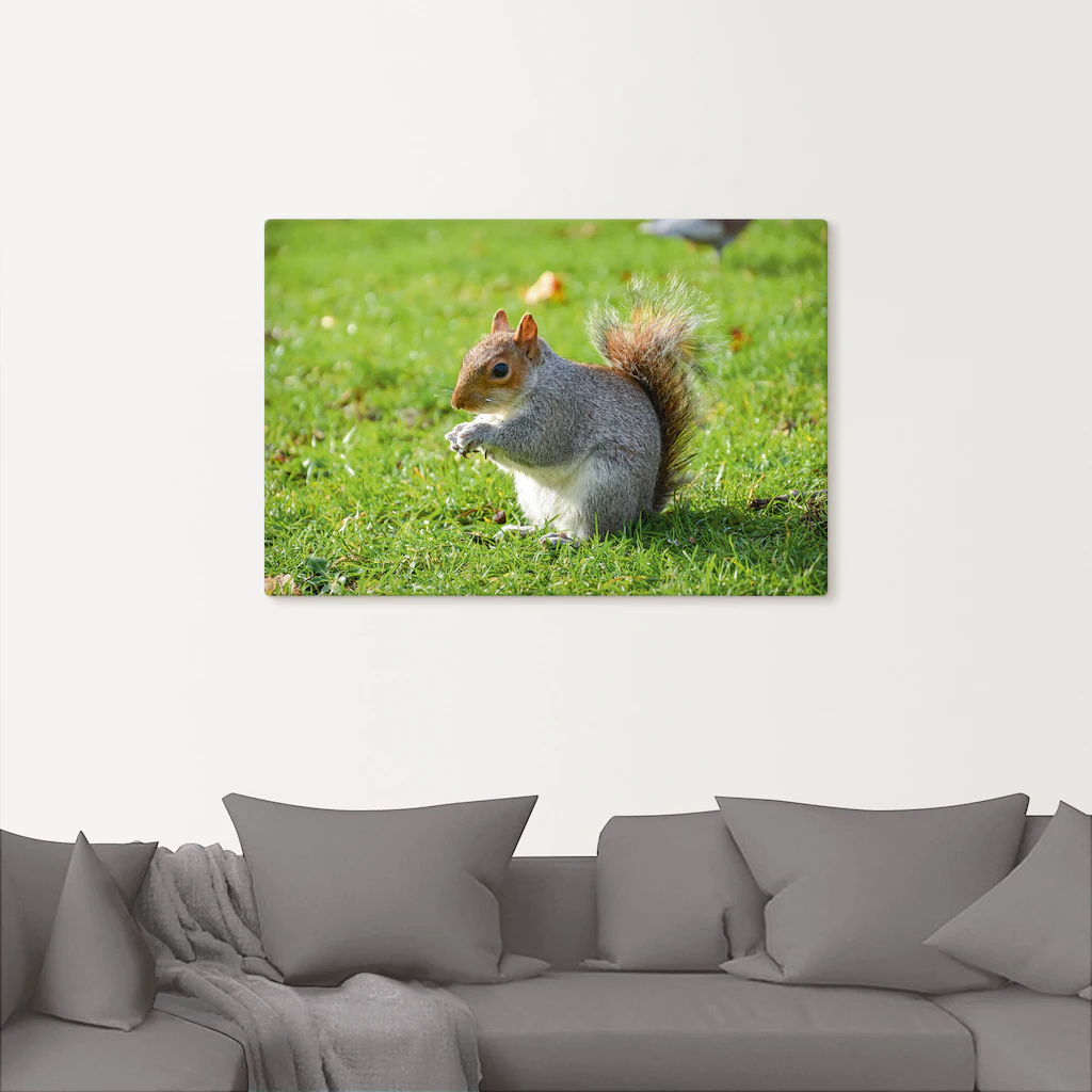 Artland Leinwandbild "Graues Eichhörnchen", Wildtiere, (1 St.), auf Keilrah günstig online kaufen