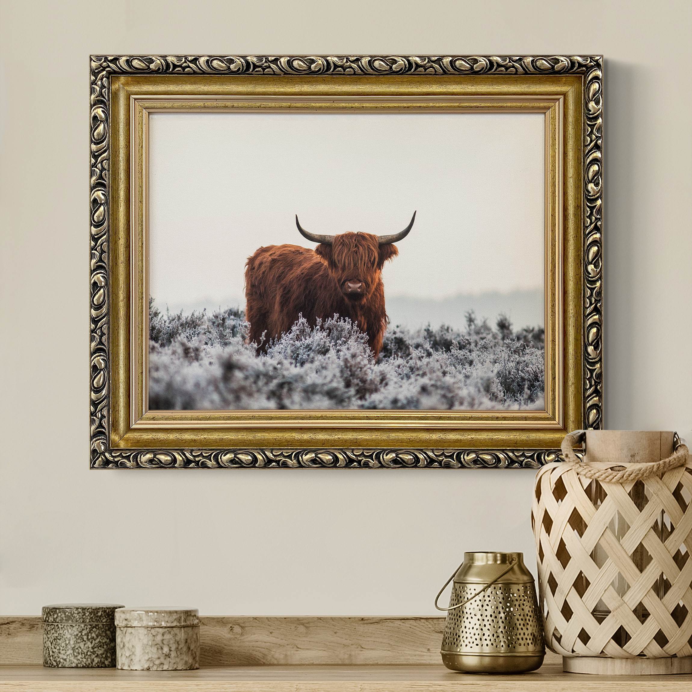 Gerahmtes Leinwandbild Bison in den Highlands günstig online kaufen