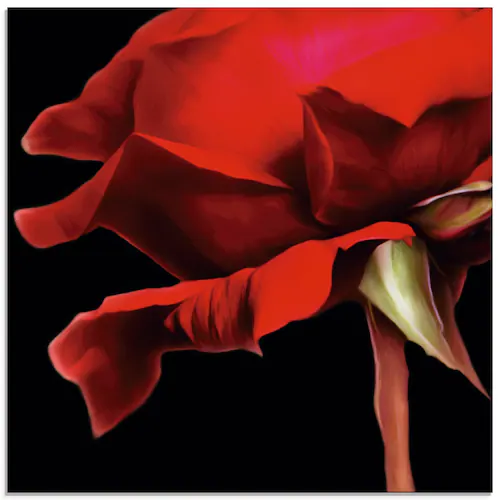 Artland Glasbild "Rote Rose", Blumen, (1 St.), in verschiedenen Größen günstig online kaufen