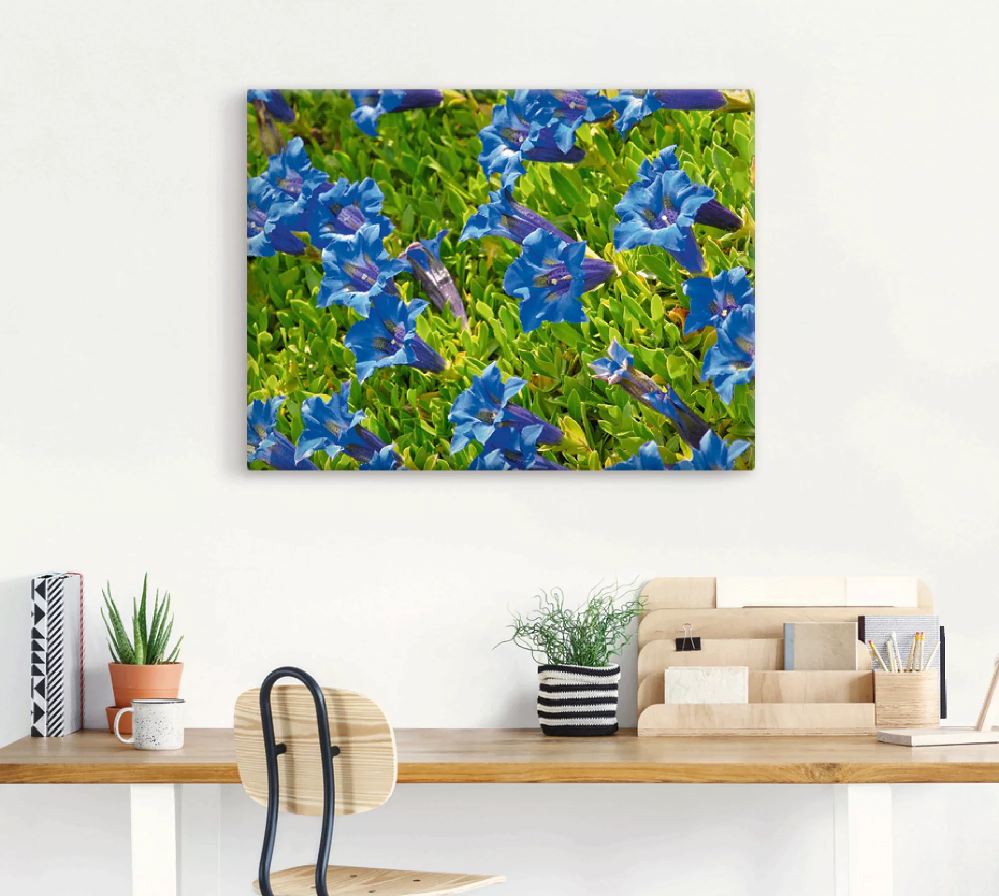 Artland Wandbild "Enzian", Blumenwiese, (1 St.), als Leinwandbild, Poster i günstig online kaufen