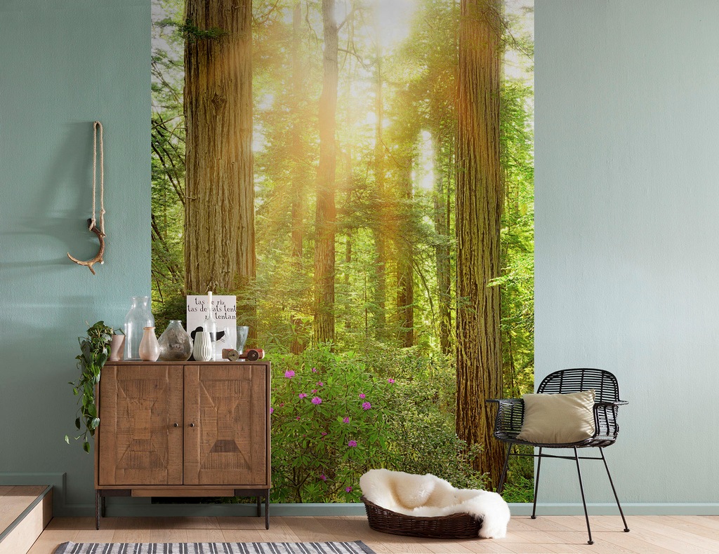 Komar Vliestapete »Digitaldruck Vlies - Redwood - Größe 200 x 260 cm«, bedr günstig online kaufen