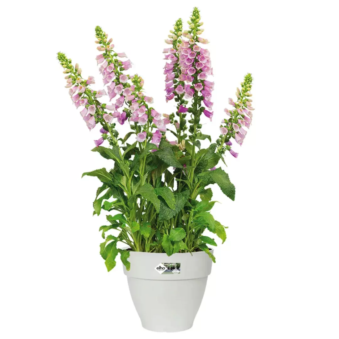 Blumentopf Weiß 20x17cm 3,2L günstig online kaufen