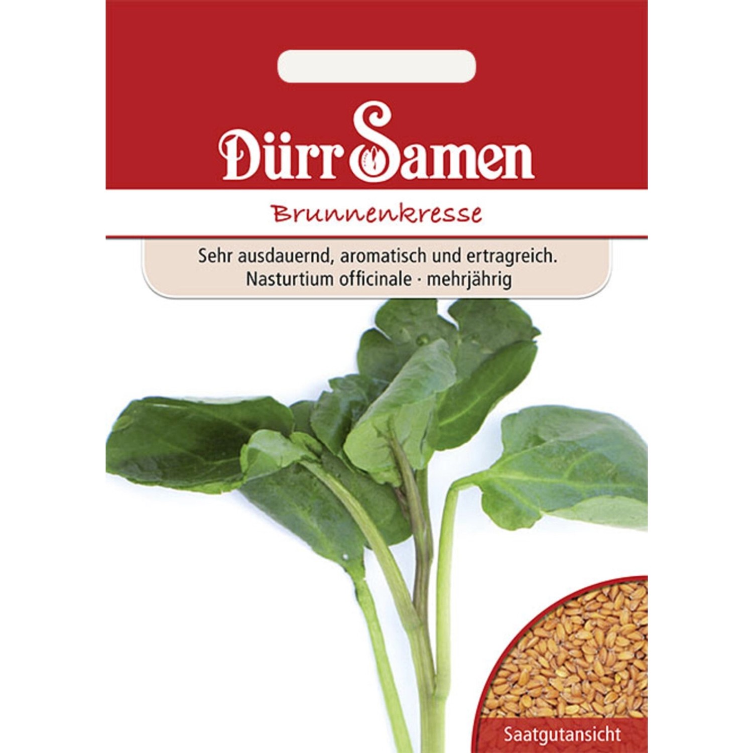 Dürr Samen Brunnenkresse Saatgut günstig online kaufen
