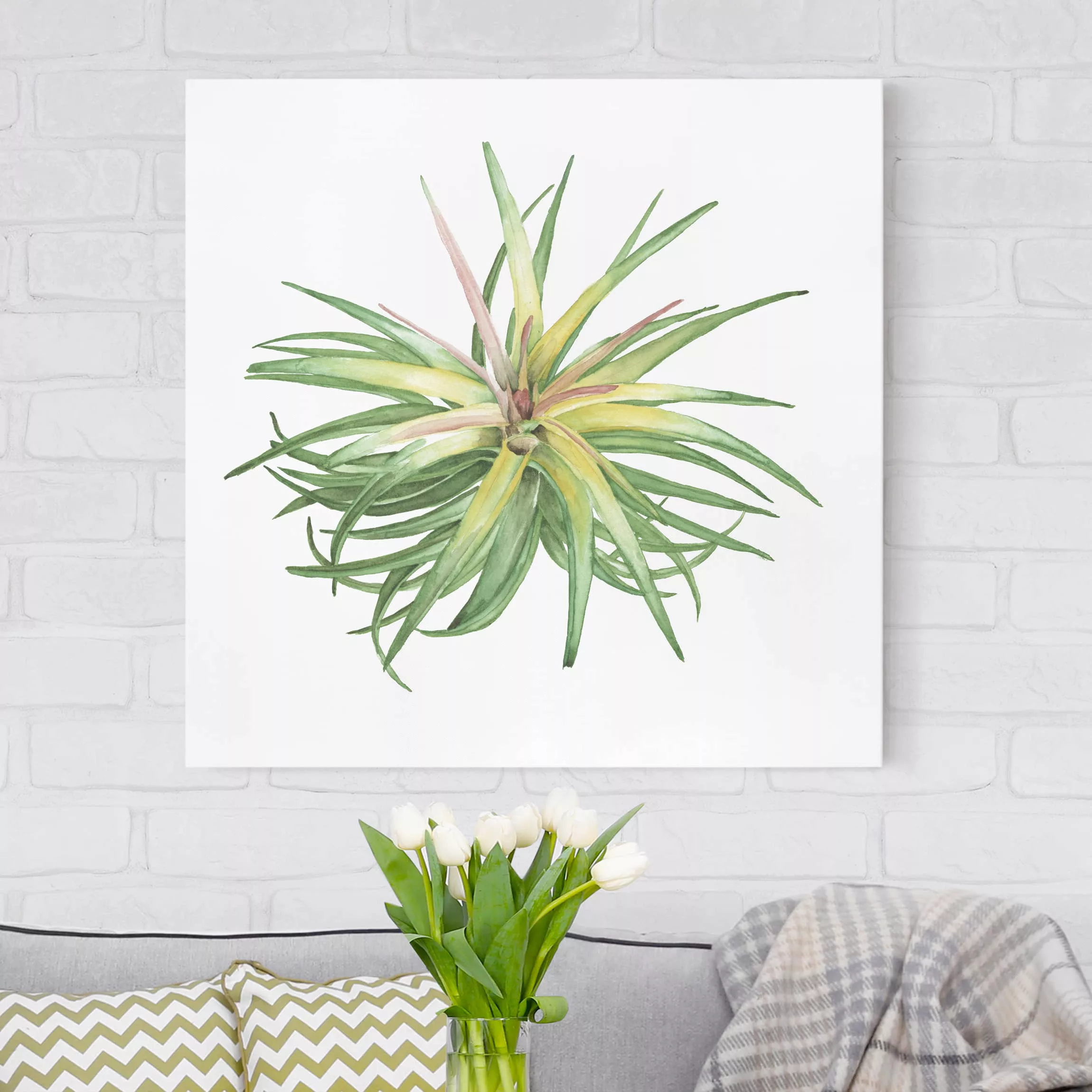 Leinwandbild Botanik - Quadrat Luftpflanze Aquarell III günstig online kaufen