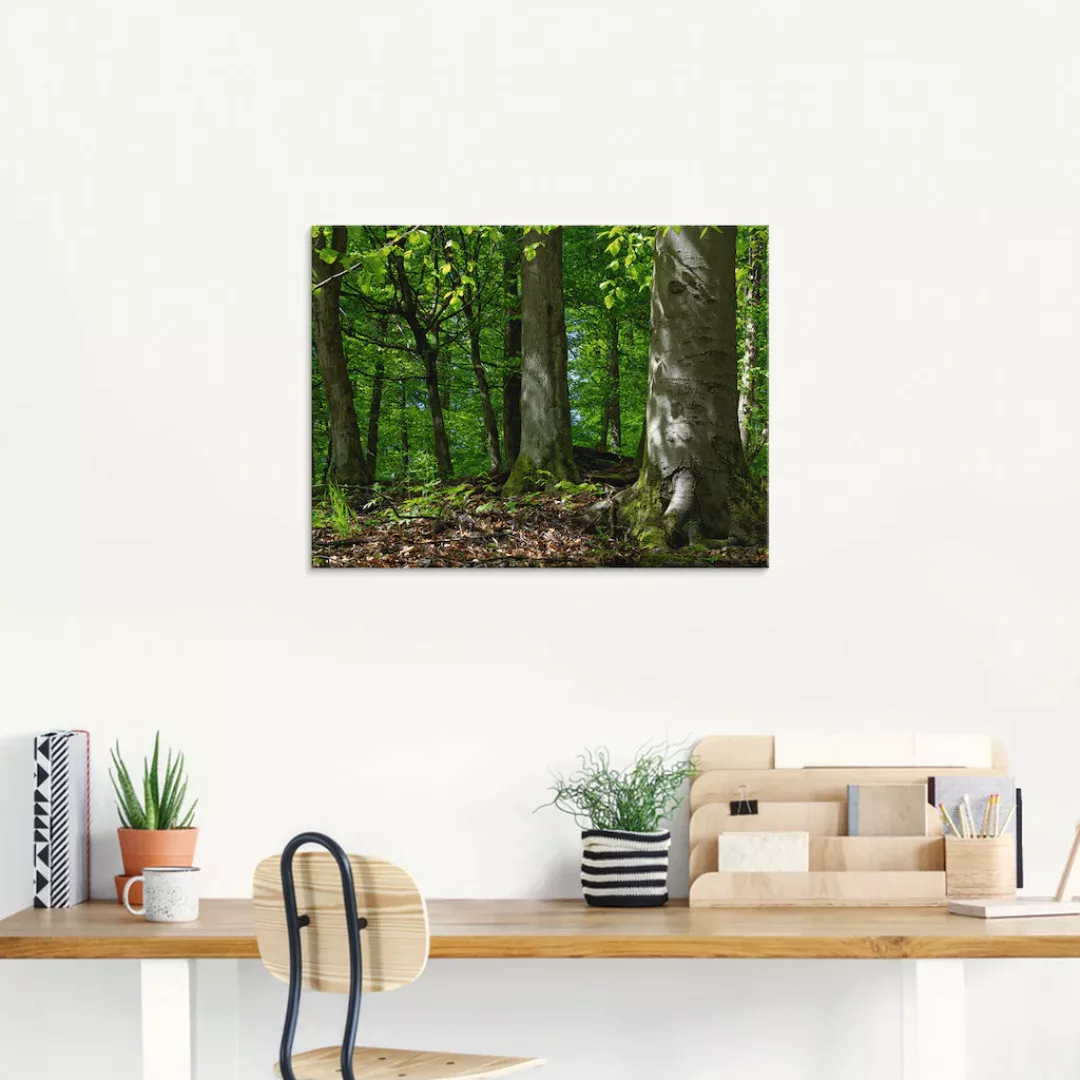 Artland Glasbild »Frühling im Buchenwald«, Wald, (1 St.), in verschiedenen günstig online kaufen