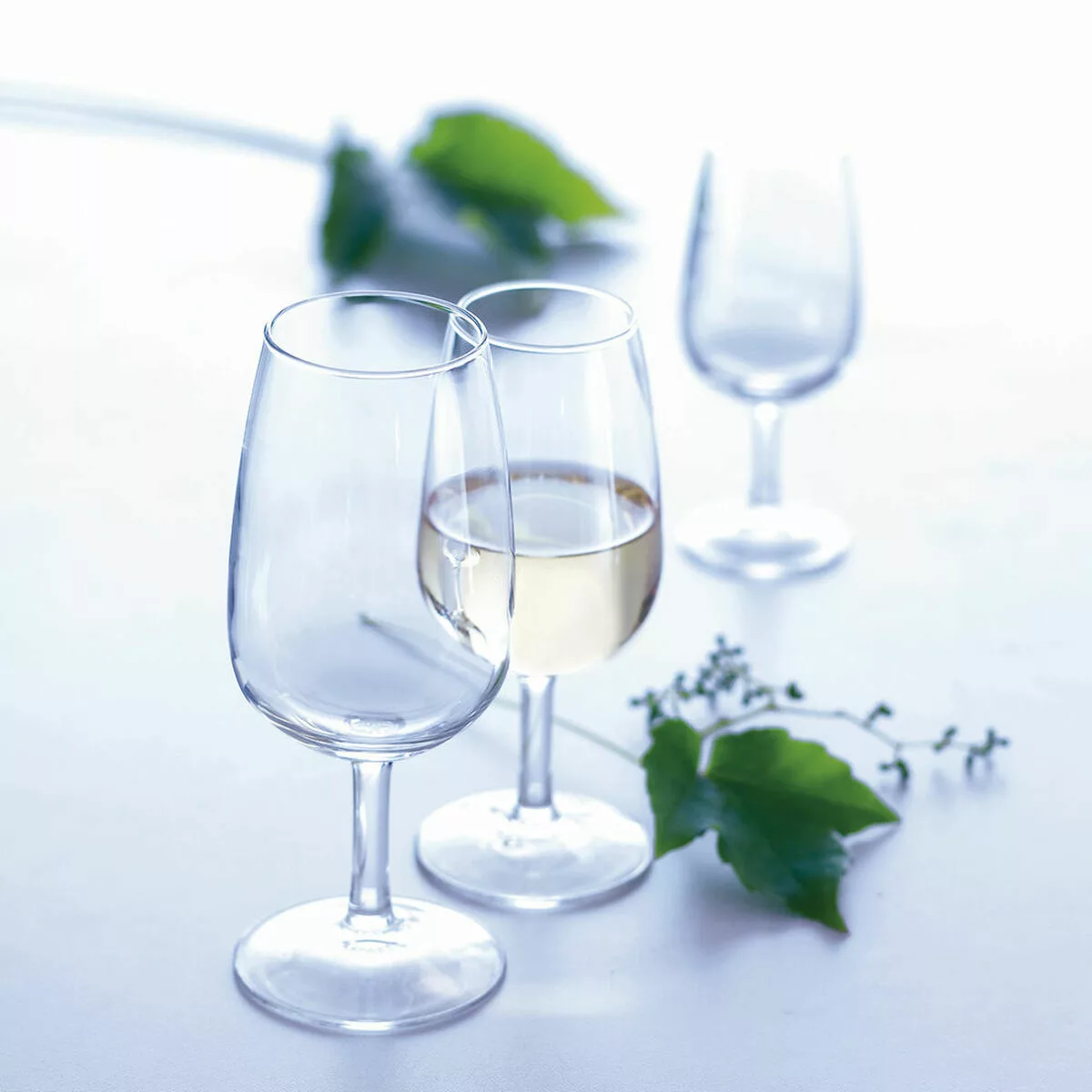 Weinglas Arcoroc Viticole 6 Stück (21,5 Cl) günstig online kaufen
