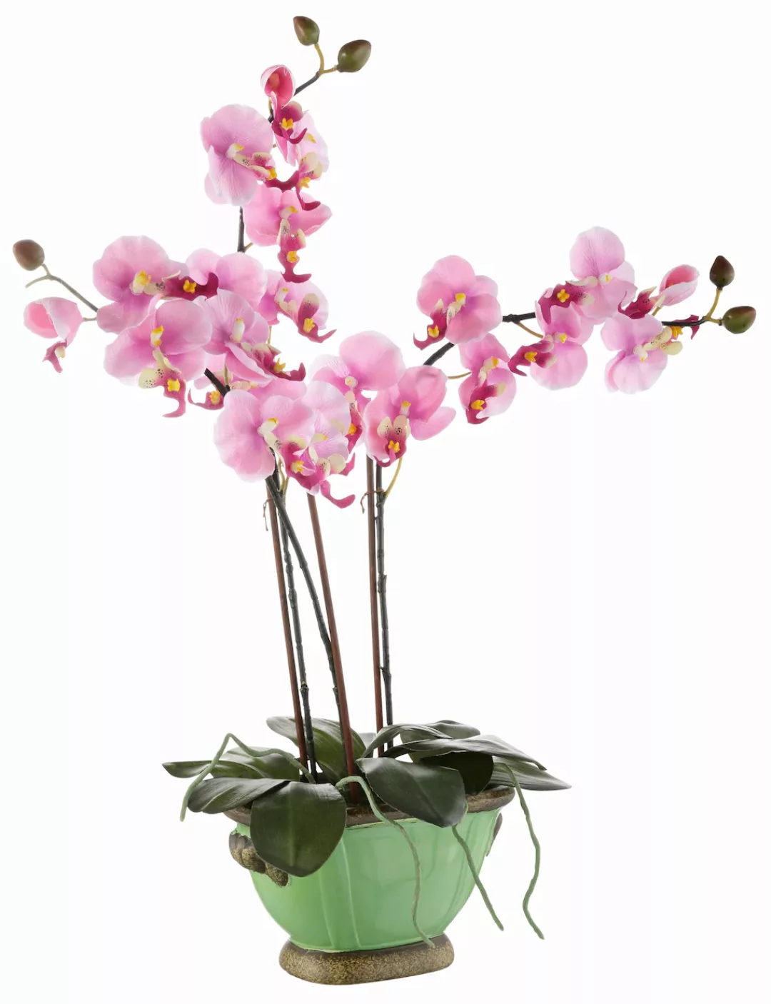 I.GE.A. Kunstpflanze "Orchidee" günstig online kaufen